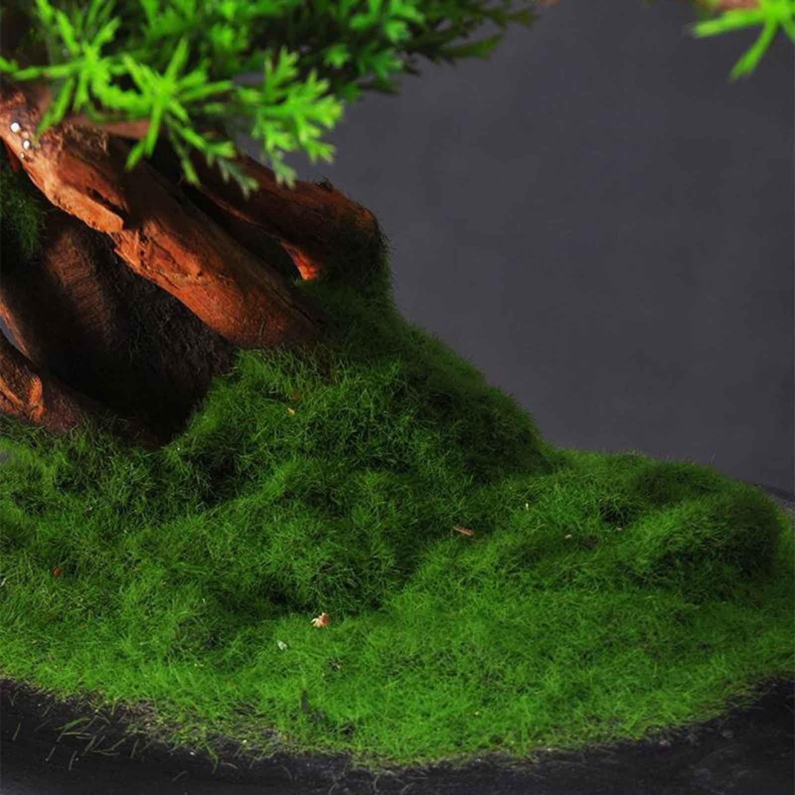 Künstlicher Bonsai Baum, Künstliche Pflanze,Kunstpflanze