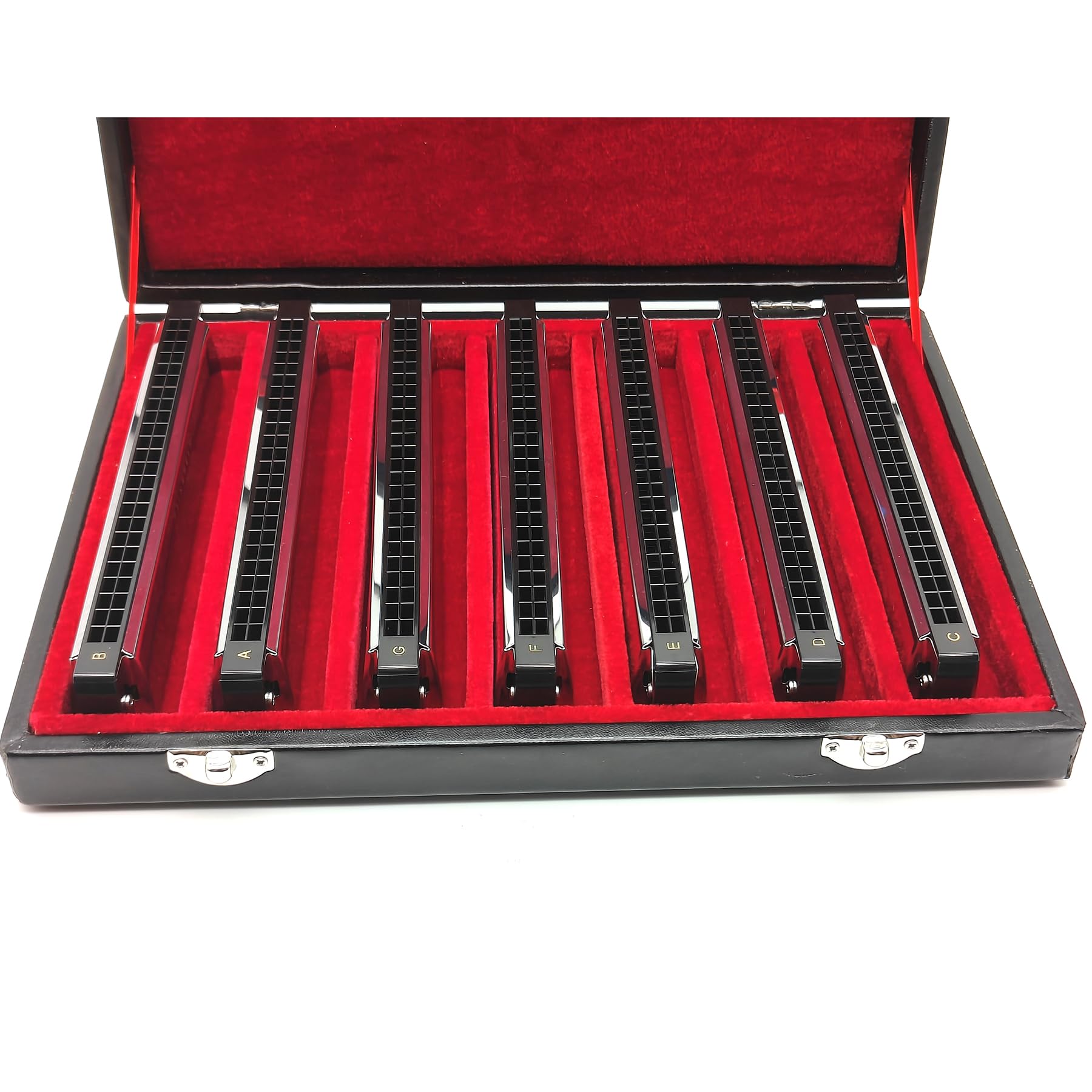 Armonica Tremolo A 24 Fori In Do - Con Custodia Rigida Per Principianti E Musicisti - Foto 13
