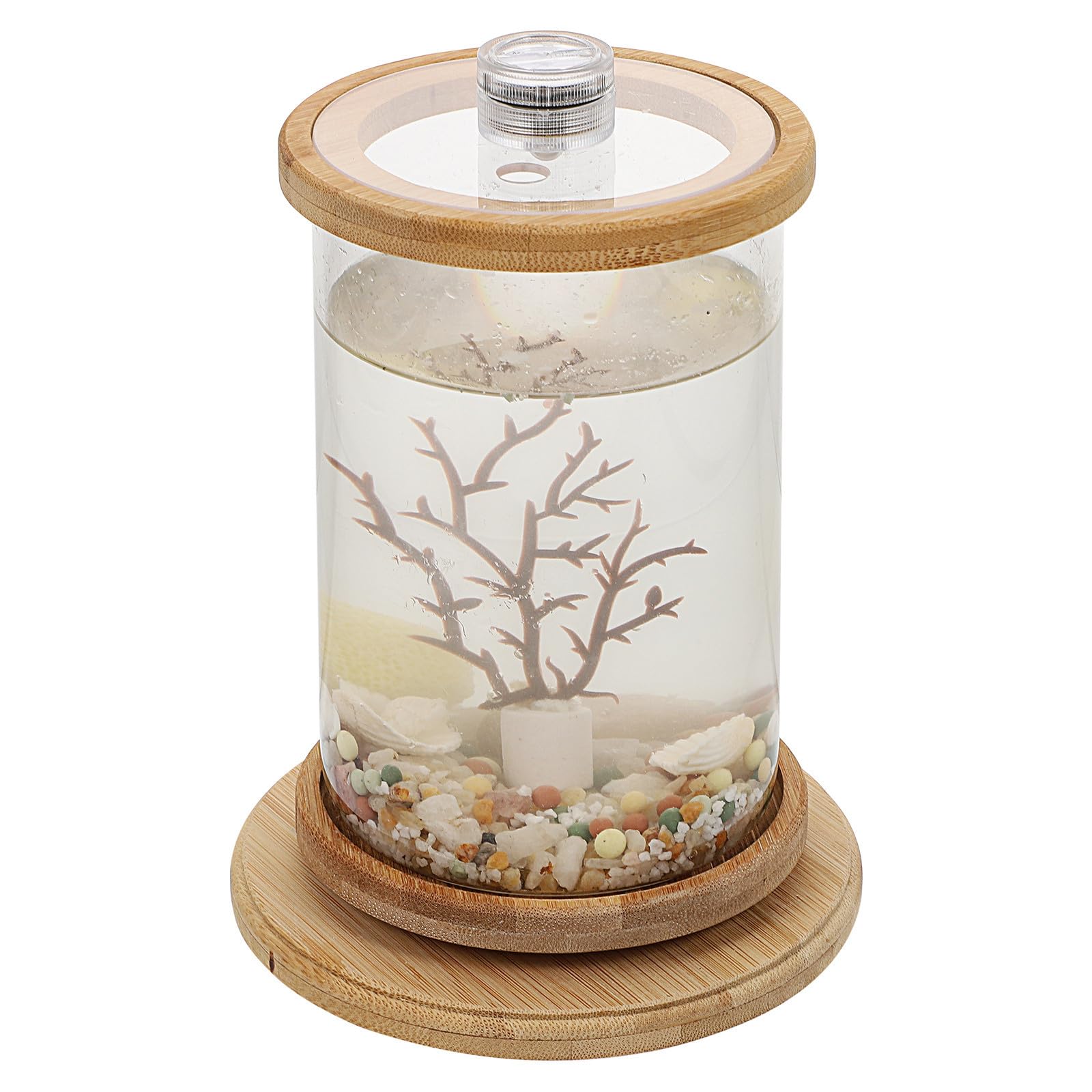 Acuario de Escritorio Decorativo de Vidrio para Oficina