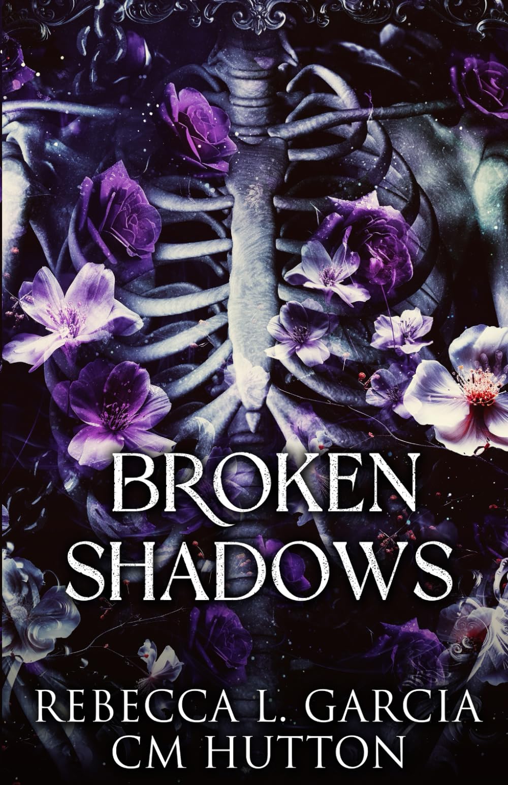 Broken Shadows (Corrupt Shadows Duet)
