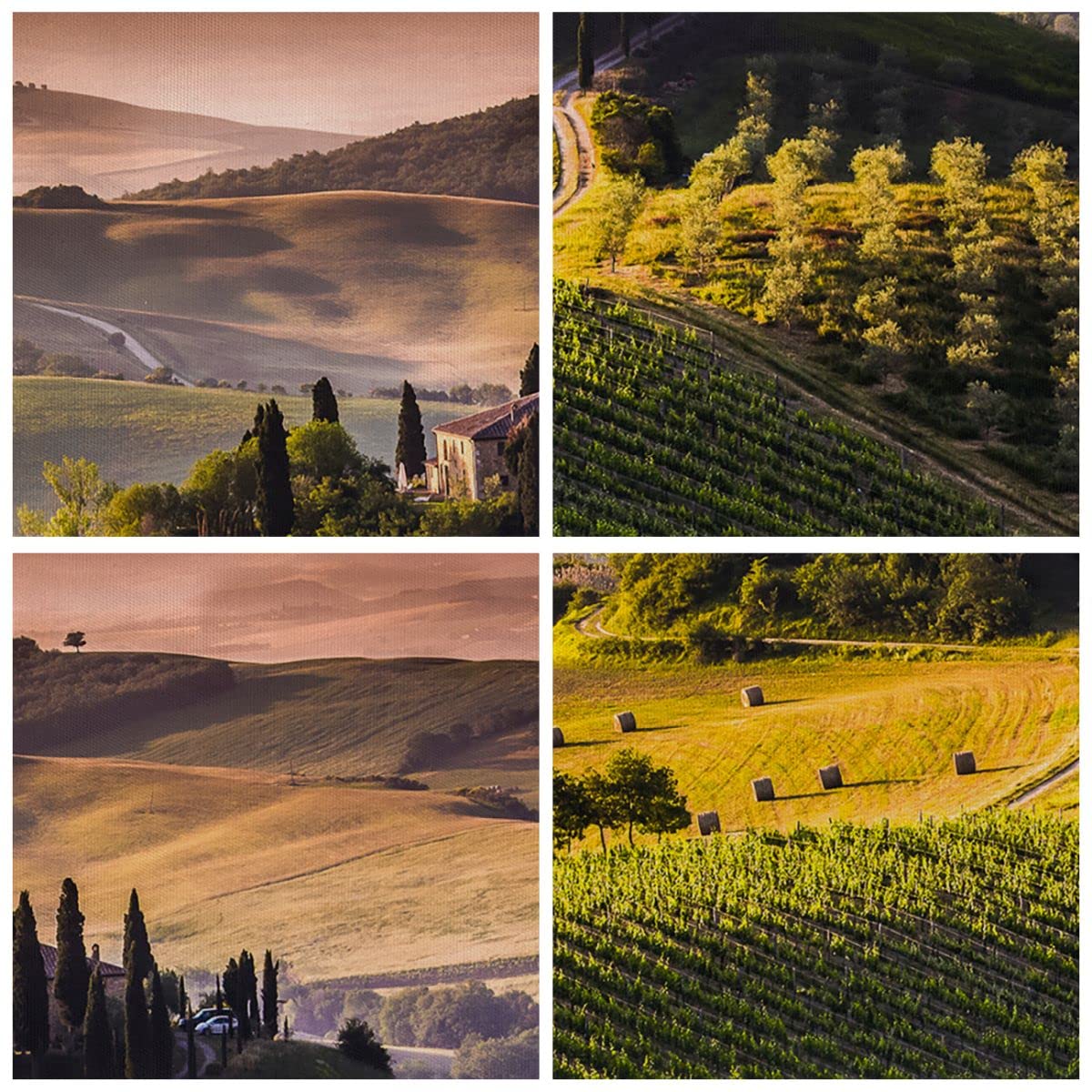 Moderno Quadro su Tela 70x50 cm Stampe da Parete Paesaggi Natura - 2465 | Agricoltura Azienda agricola Toscana Quadro Decorativo 1 pezzo Soggiorno Arte da Parete Decorazione da Parete ARTTOR