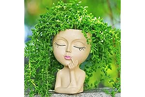 Brown Face Planters Pots Head