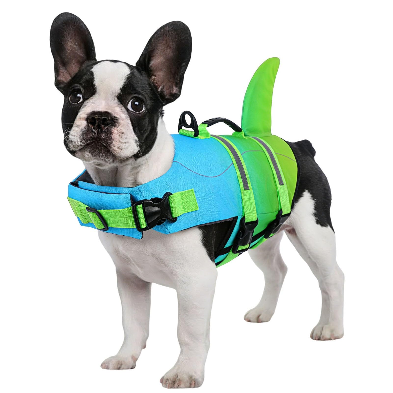 CITÉTOILE Salvagente per Cane, Giubbotto Salvagente per Cani, Ripstop Regolabile Squalo Giubbotto di salvataggio, Leggero e Sicuro per Gli Sport Acquatici, Blu Verde, L