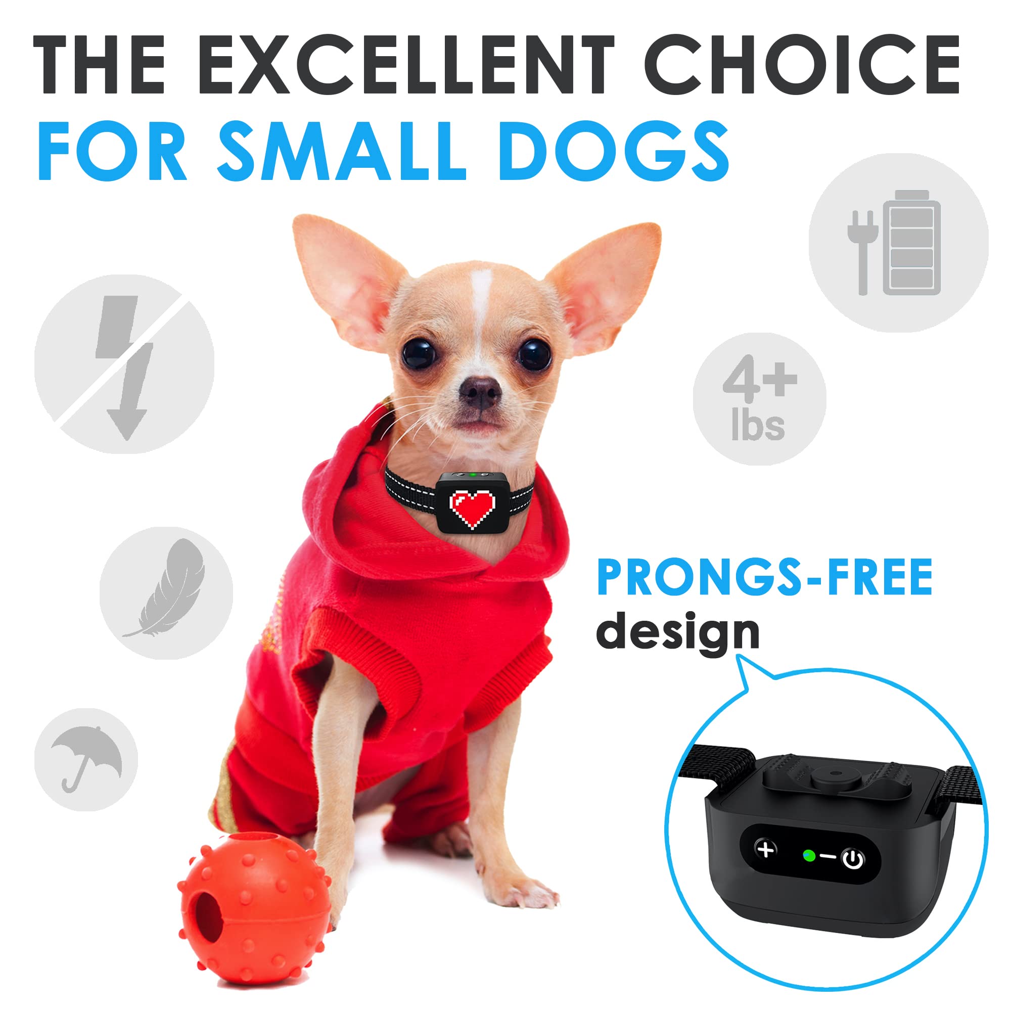 Can Dogs Bark For Hours