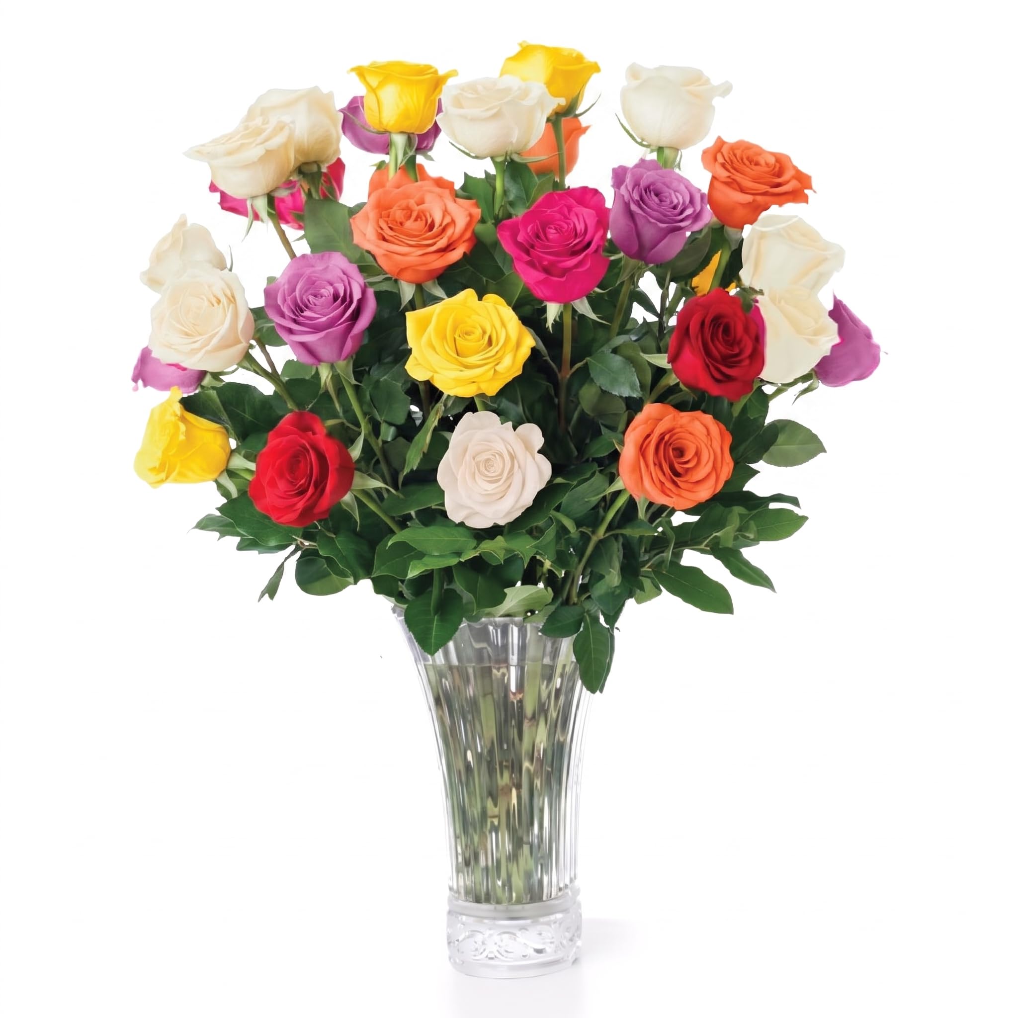 Aquarossa Farms – Fresh Cut Flowers for Delivery, Gifts for Graduation, Birthday, Anniversary, or Just Because – 24 Assorted Fresh Roses
