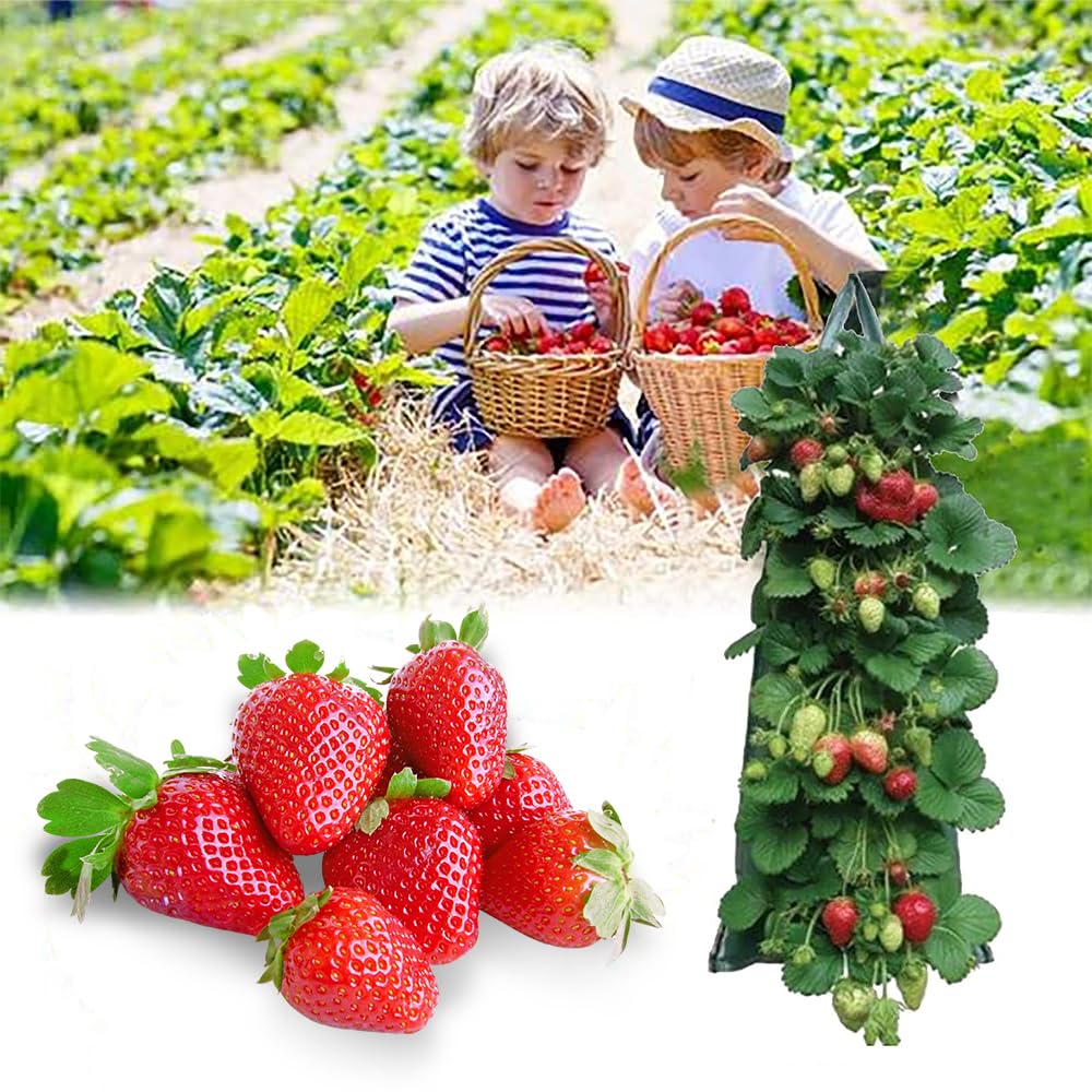 Pots De Fleurs, Bacs à Plantes Sacs De Plantation à La Fraise 13 Trous Pot De Jardin Vertical