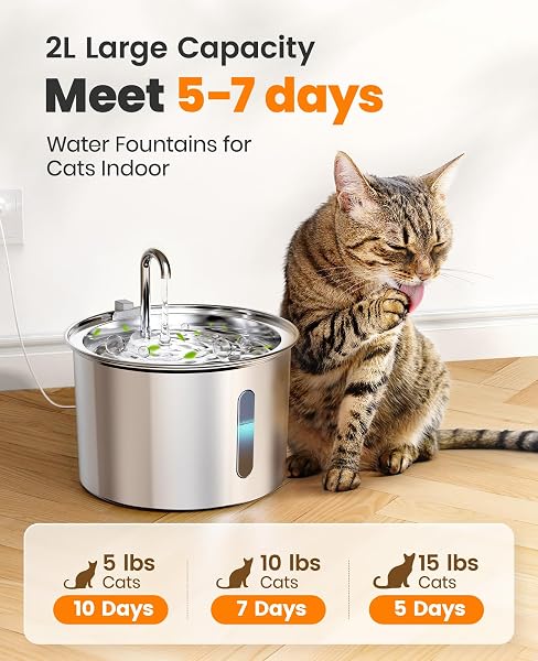The oneisall 2L Stainless Steel Cat Water Fountain with its faucet spout design, showing the water level window.
