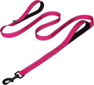 Joytale Dog Leash for Large Dogs that Pull, Double Handle, 6FT, Hot Pink | Traffic Handle for Control, Padded Handle Reduces Hand Strain, Reflective Stitching for Night Safety, Strong Nylon Webbing