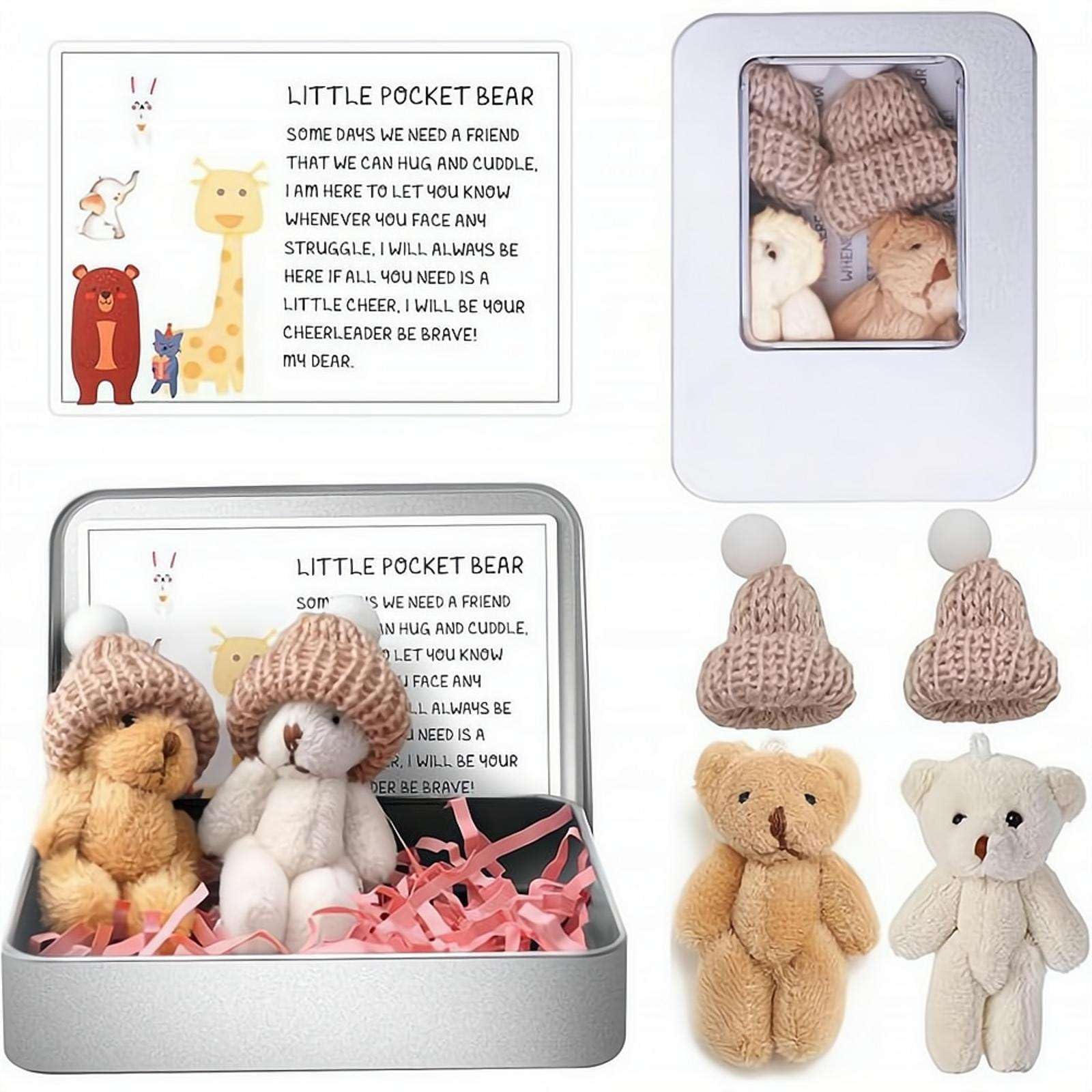 2 Pcs Little Pocket Bear Hug in a Tin Box, Worry Bear Hug in a Box Mini Plush Bears Set with Inspirational Card, Small Cute Doll Positive Gifts for Friends Women Men Birthday