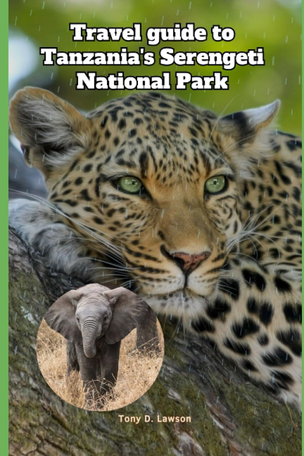 Travel guide to Tanzania's Serengeti National Park 2023/2024: Take on a remarkable journey through the heart of Africa with this meticulously crafted guide to Tanzania's Serengeti National Park.