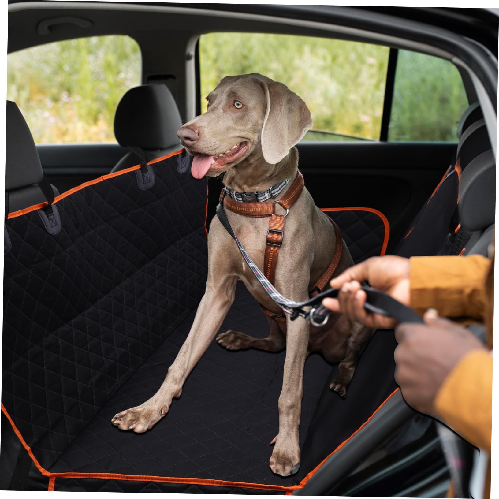 Funda Asiento Coche Perro Antideslizante Hamaca Grande para Mascotas Compatible Varios Fácil Limpieza