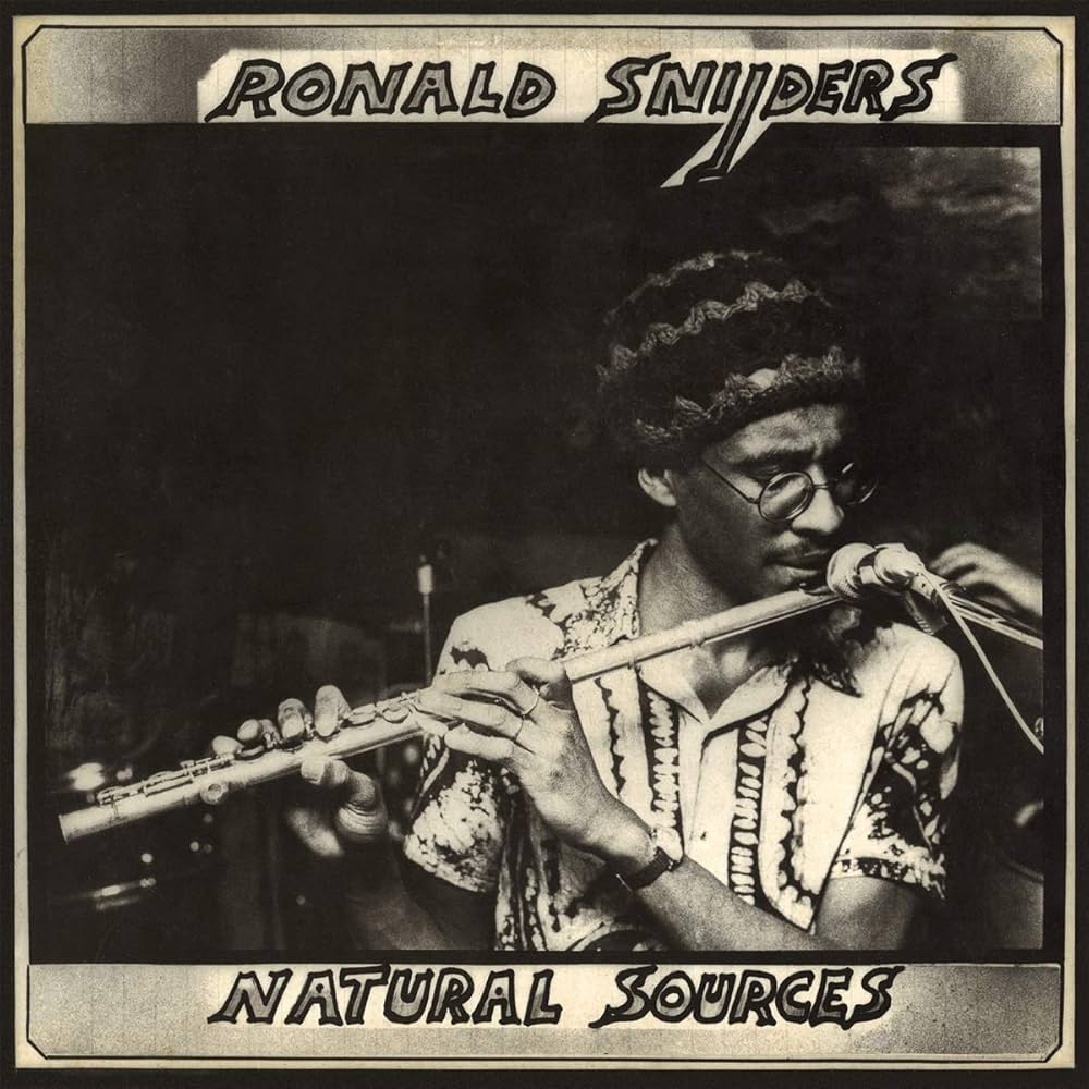 [レコード] Ronald snijders NATURE SOURCES LP 71r4zEroa7L._UF1000,1000_QL80_.jpg
