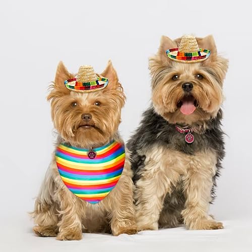 Miniatura 4 de Sombrero de perro y bufanda triangular para perro, babero, sombrero multicolor, disfraz de arco iris, toalla de boca para mascotas pequeñas,