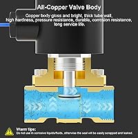 Vista 6 de TAILONZ PNEUMATIC Válvula electromagnética eléctrica de latón de 1 pulgada NPT DC12V 2W-250-25 agua normalmente cerrada, aire, diesel