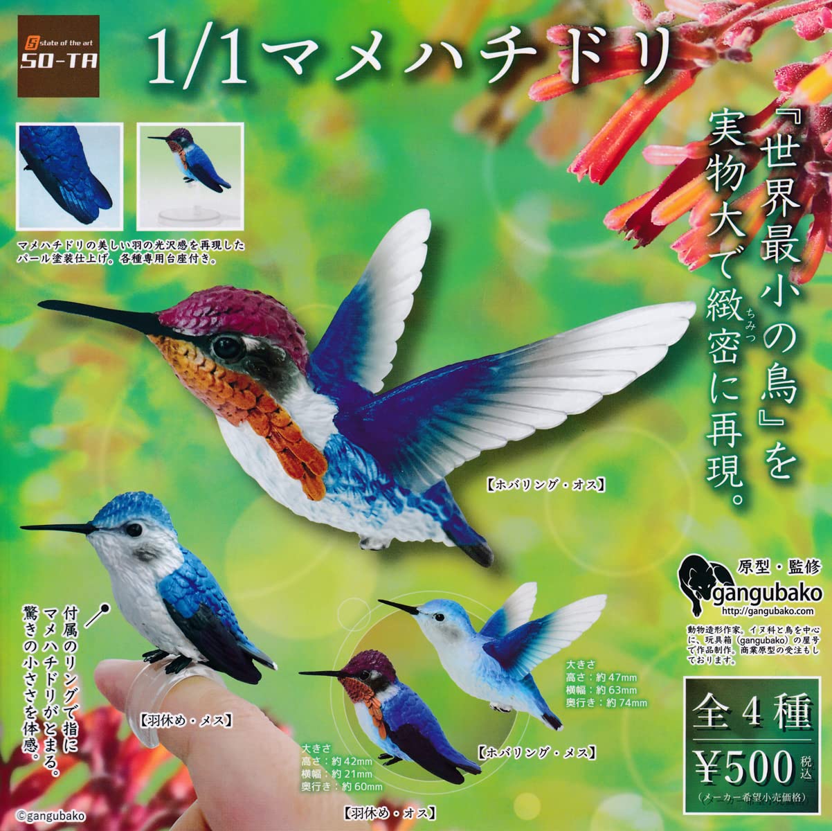 ミニペーパーポットバッグ　ハチドリと青い花 Amazon | 1/1 マメハチドリ [全4種セット(フルコンプ)] ガチャガチャ
