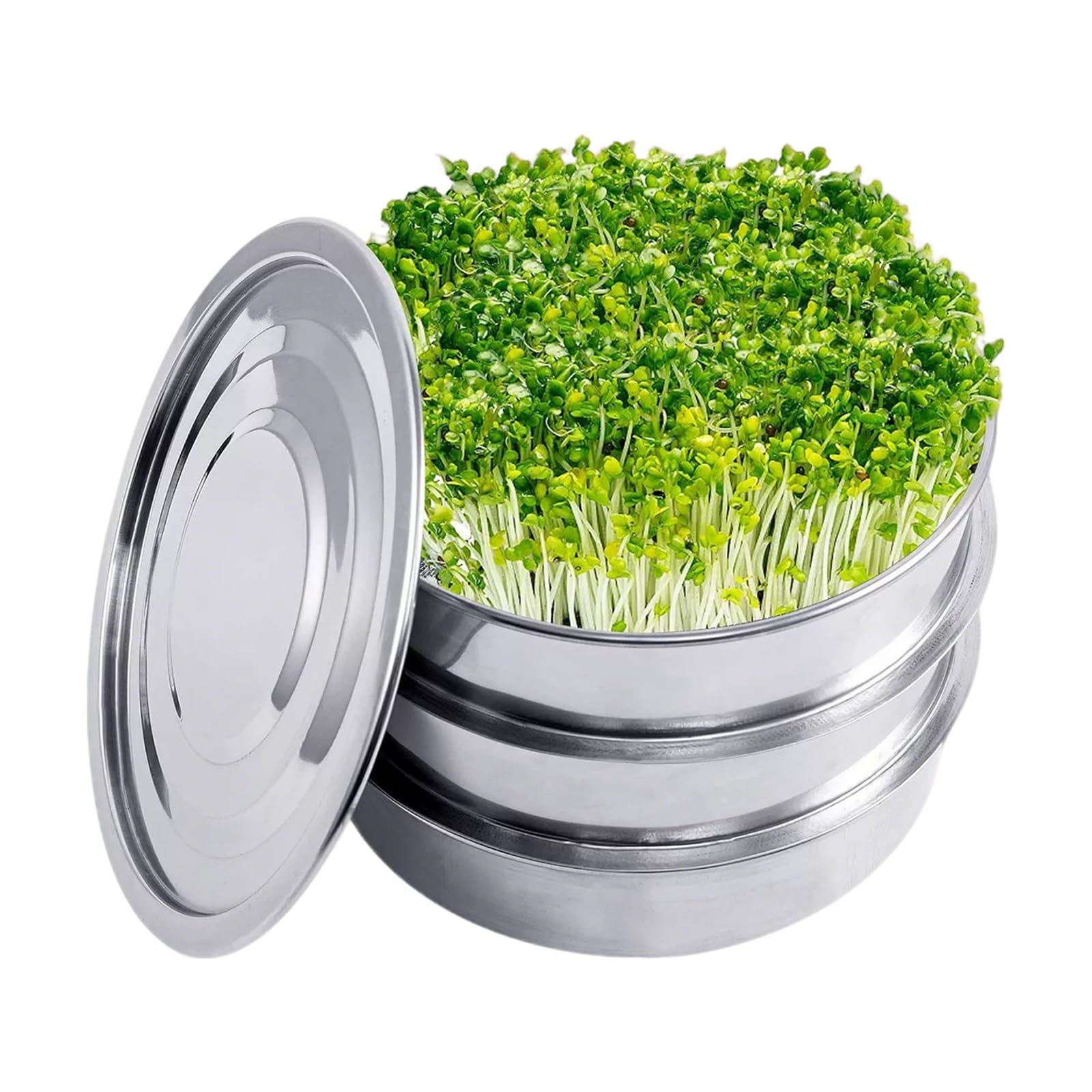 Plateaux de germination en acier inoxydable TWSOUL pour haricots mungo