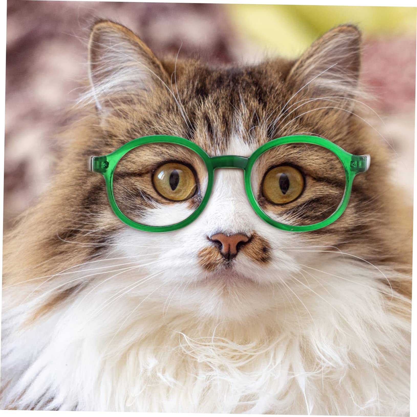 BESPORTBLE Cat Plastic Glasses 4pcs Pet Sunglasses Fashion Cosplay Glasses Photo Props Comfortable and Stylish for Your Pet