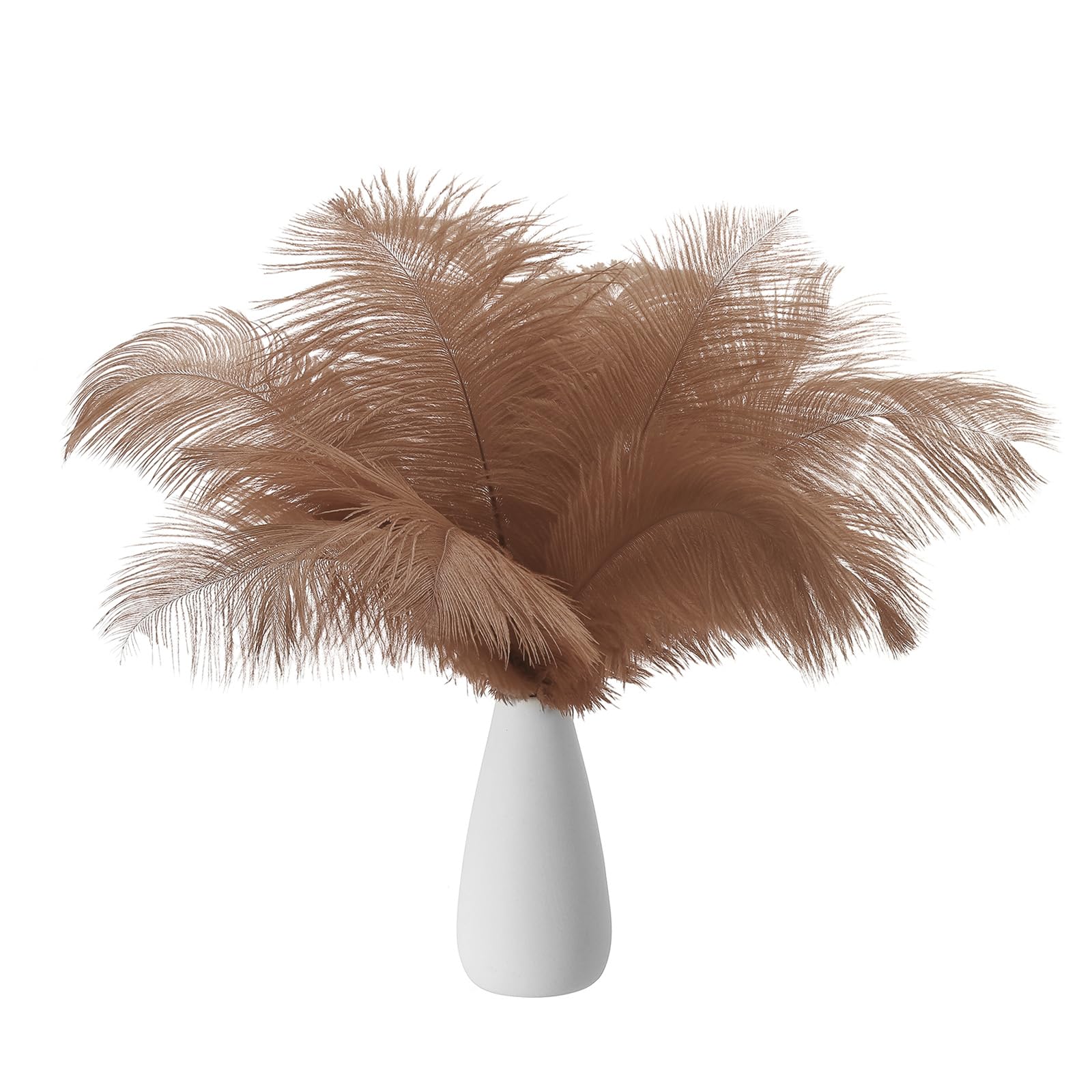 PATIKIL 8-10 Inch(20-25cm) Ostrich Feathers