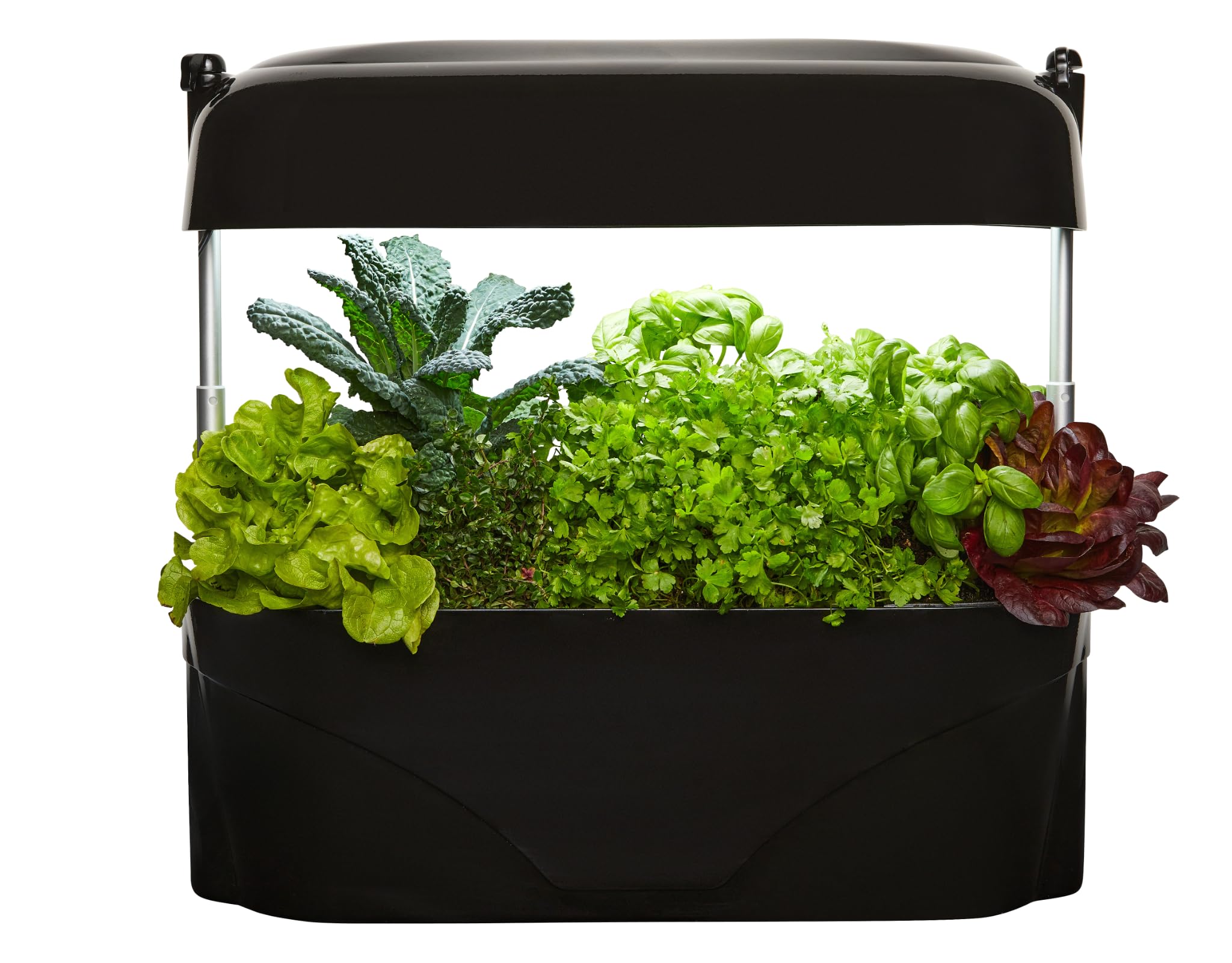 VegepodKitchen Garden Black Smart Indoor Growing for Kitchen Herbs Gourmet Herb and Vegetable Plant Set, Self-Watering, LED Grow Light