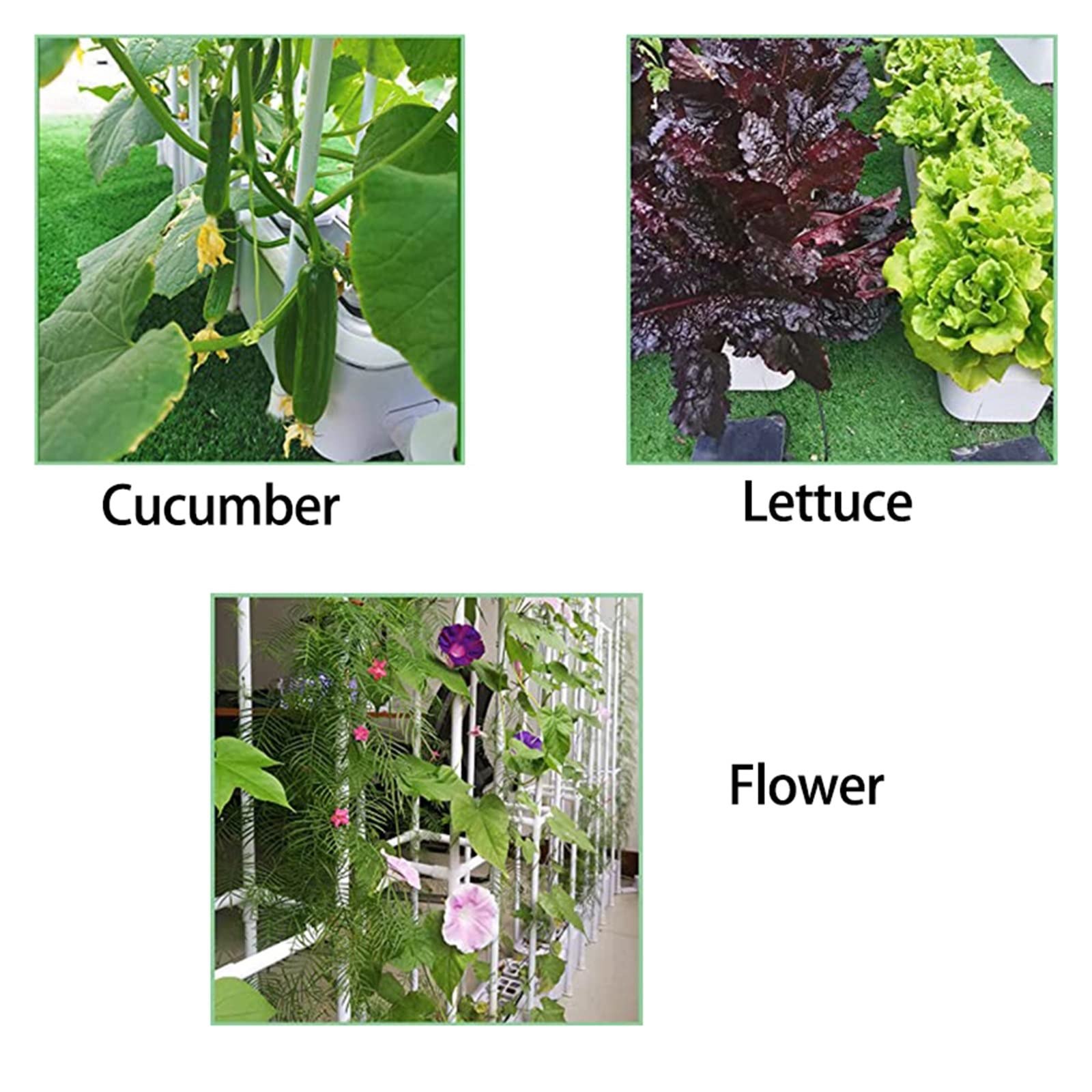 Tower Garden, Inteligentny system uprawy hydroponicznej z kontrolerem Automatyczne przypomnienie Sadzarka samonawadniająca 60" Wspinaczkowa Krata Dla Pomidorów Ogórków(2)