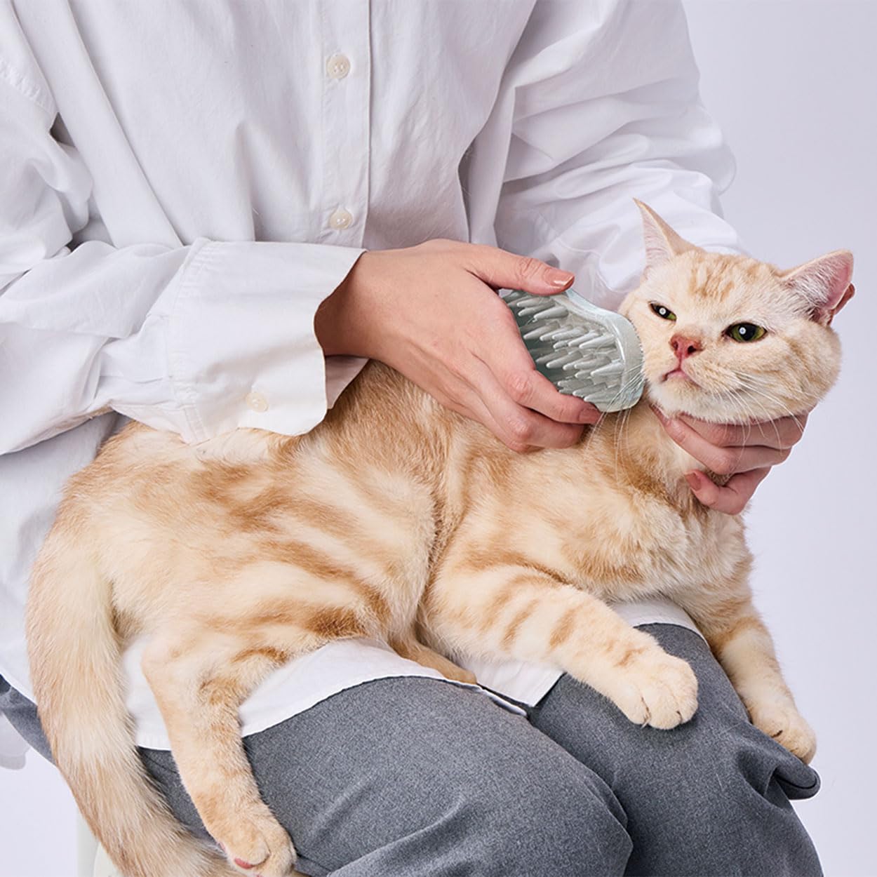Amazon.co.jp: ペティオ (Petio) 猫用 FIXCARE 猫にぴったり 裏表ピン