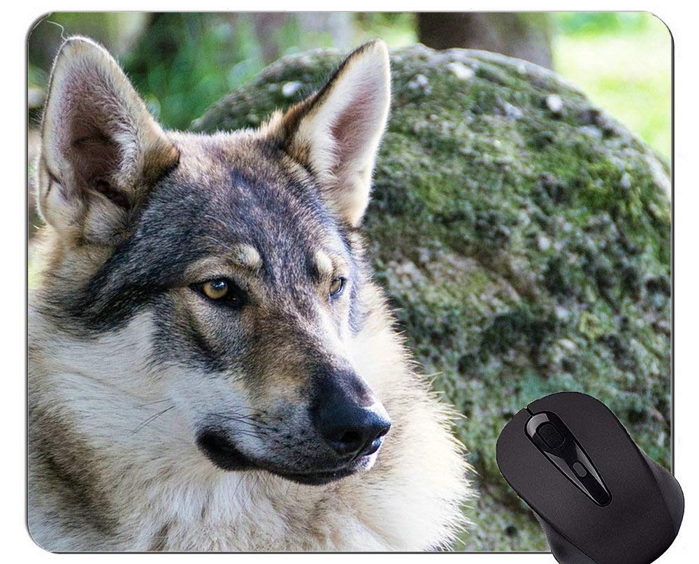 APSRA Gaming Mouse Pad,Image of Dangerous Arctic Wolf Mouse Pads 3639