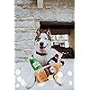 Product Photo 5