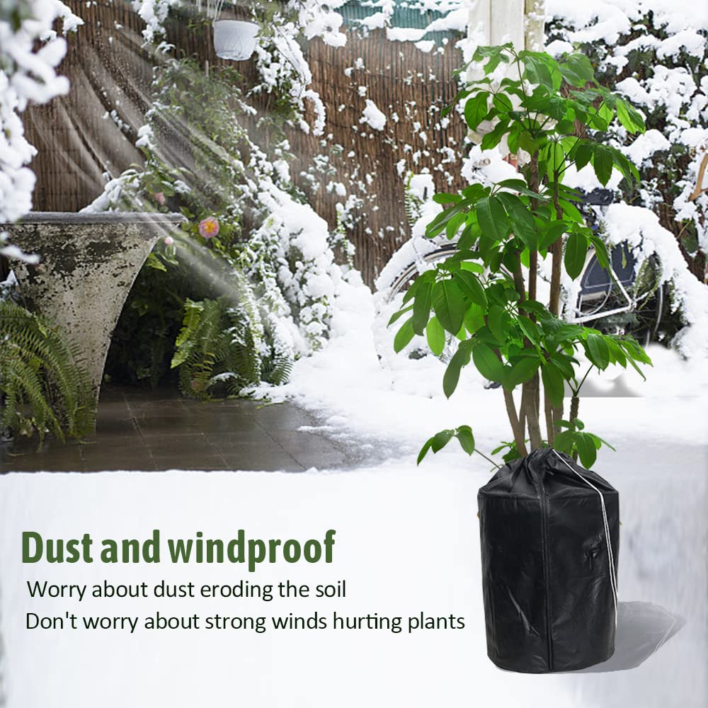heckenpflanzen thuja Thuja Smaragd kaufen main image 0
