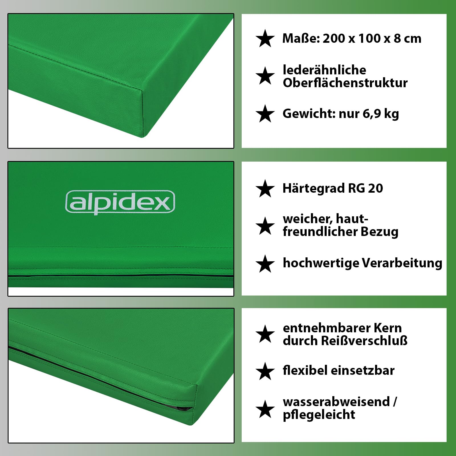 ALPIDEX Matte Turnmatte Sportmatte Gymnastikmatte 200 x 100 x 8 cm mit Antirutschboden RG 20 (sehr weich)