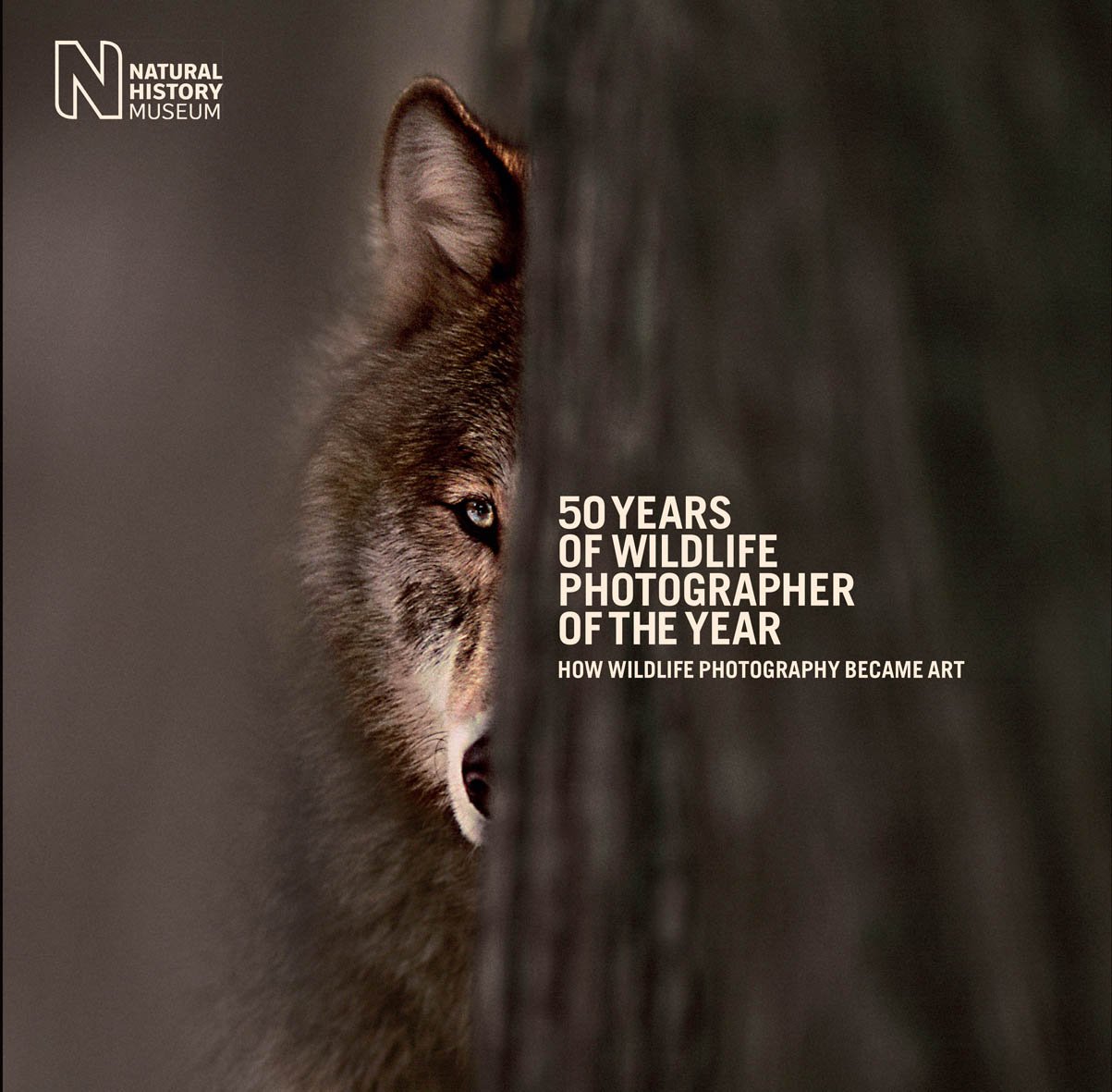 Buy 50 Years of Wildlife Photographer of the Year: How Wildlife Photography  Became Art Book Online at Low Prices in India | 50 Years of Wildlife  Photographer of the Year: How Wildlife