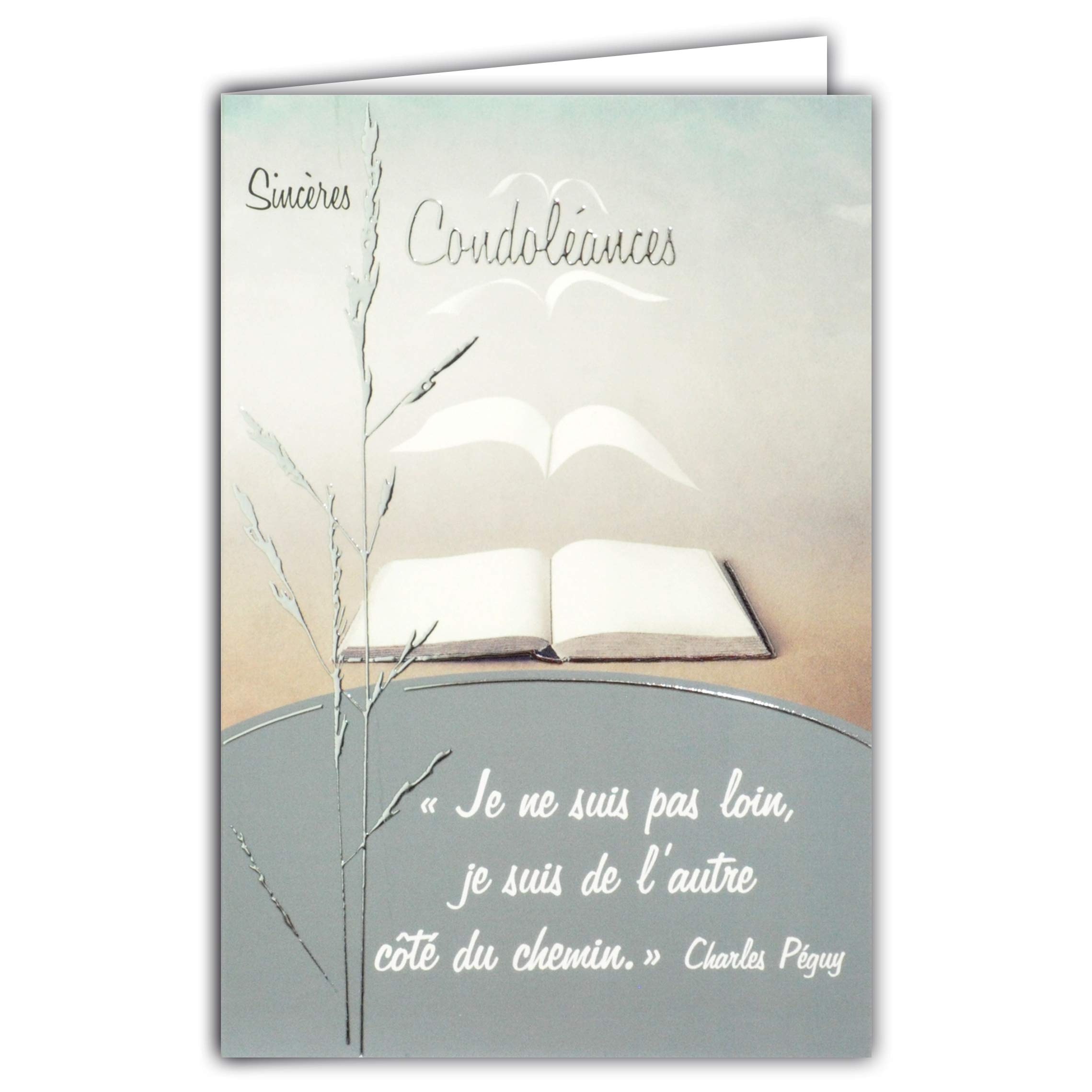 Charles Péguy Quote Card Silver Grey Shiny Book Page Turning Birds Flight Peace Excess Deuil Made in France