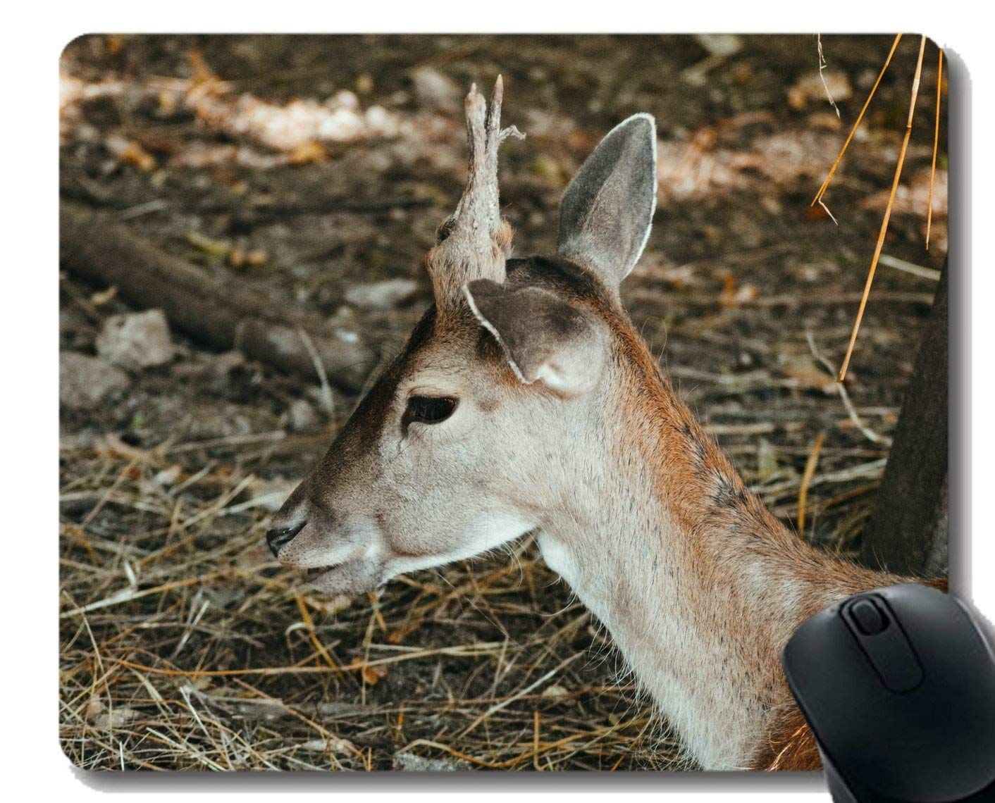 Anti Slip Mouse Mat for Desktops,Elk Attention Nature -Stitched Edges