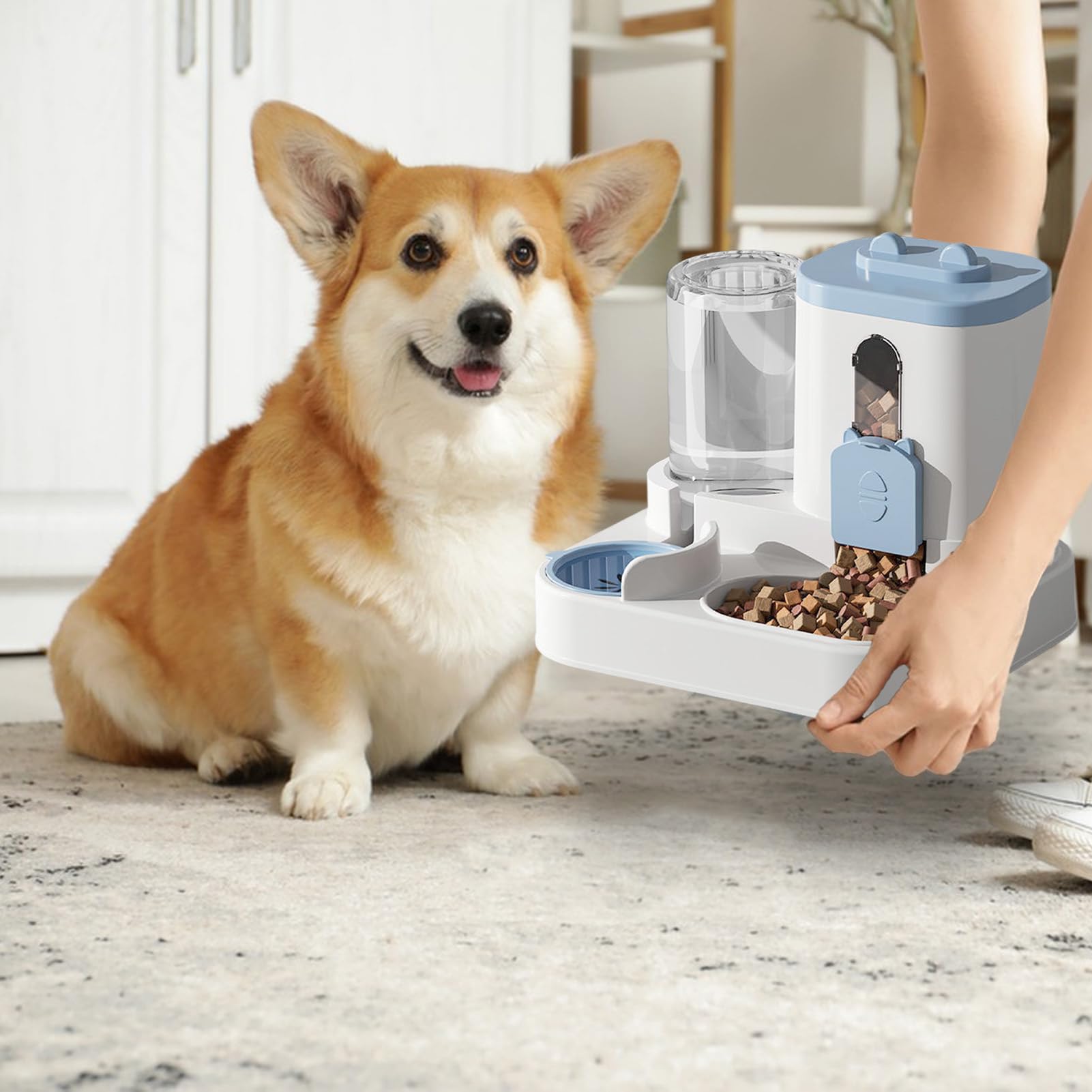 Distributore automatico 2 in 1 per gatti e cani, con serbatoio d'acqua e crocchette, mangiatoia e abbeveratoio grande capacità per animali domestici interni