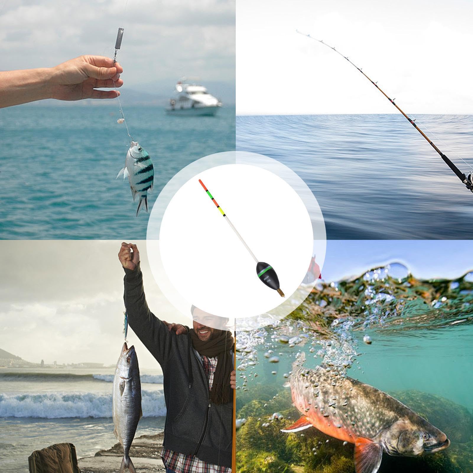 Set 12 Galleggianti Da Pesca - Alta Visibilità E Sensibilità Per Trota, Carpa E Luccio - Foto 2