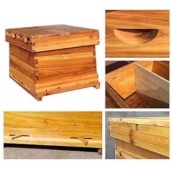 Amazon.co.jp: 蜜蜂巣箱 ミツバチ養殖 フローハイブ養蜂セット