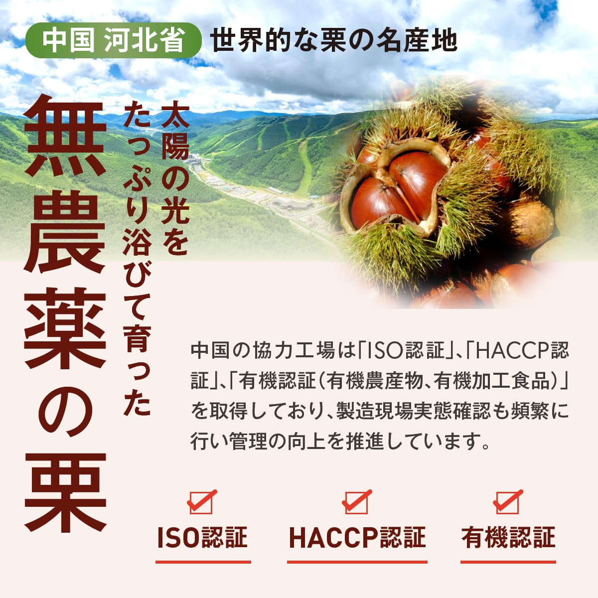 Amazon | おいしいむき甘栗（平袋） 50g✕10袋 有機栽培栗・無農薬・無