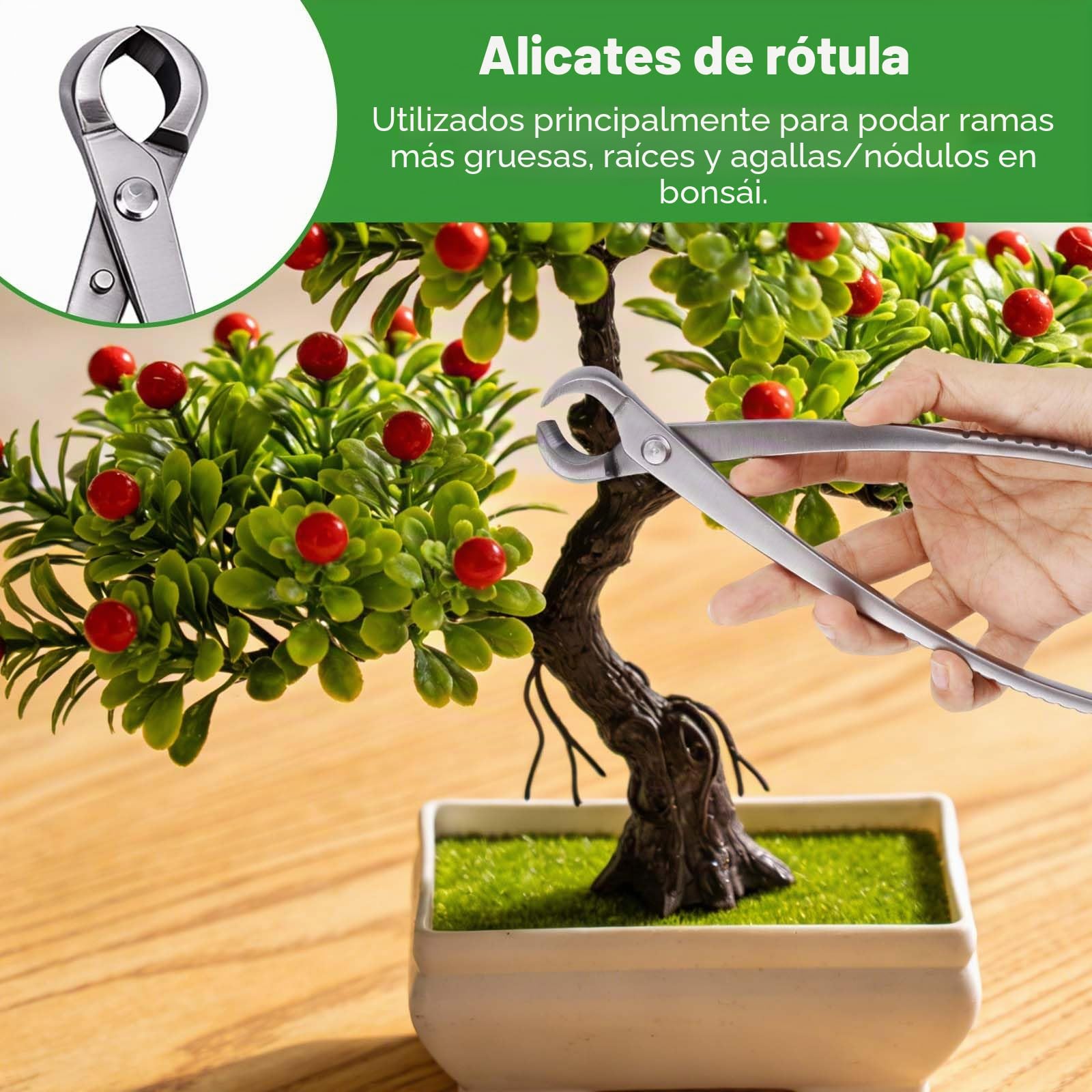3uds Herramientas para Bonsai, Profesional Acero Inoxidable con Cortador de Pomo Cortador Cóncavo y Tijeras Hojas para Poda Modelado y Cuidado Plantas Precisión