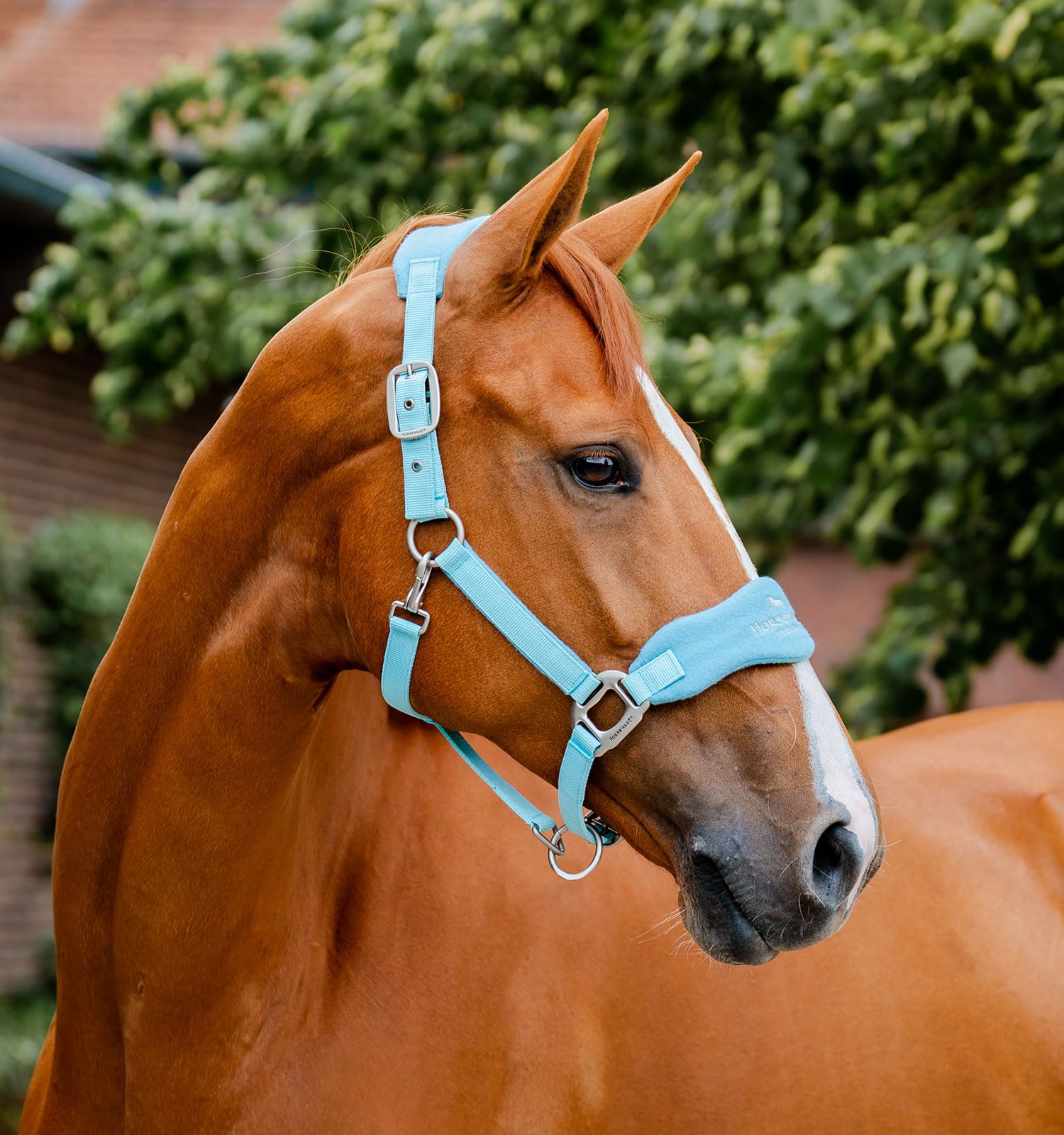 Horseware® Signature Grooming Halter