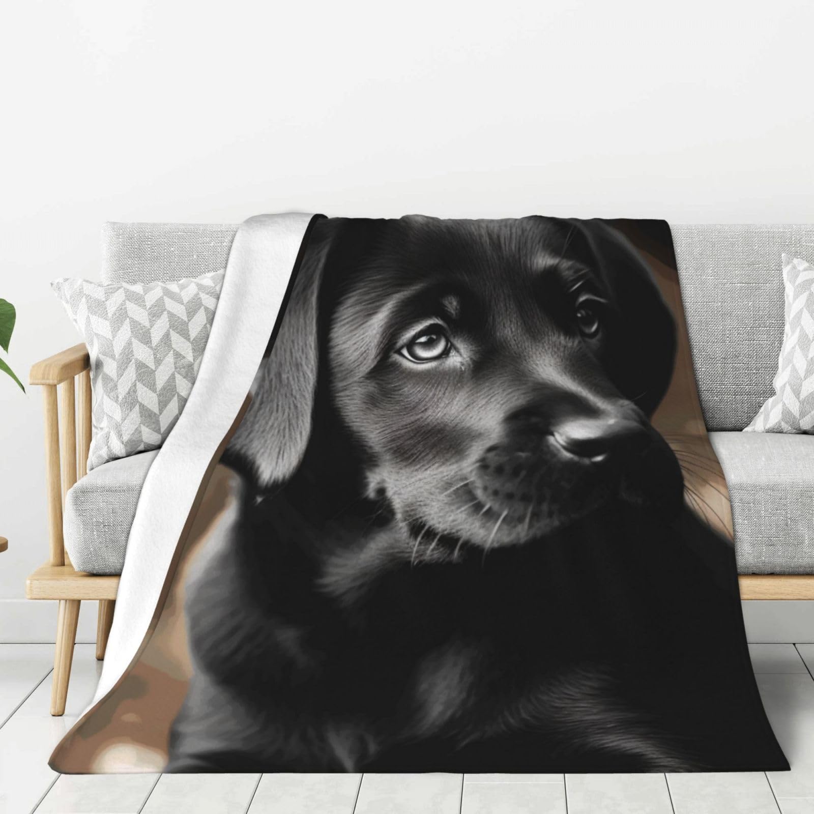 Couverture flanelle labrador noir le cadeau idéal pour les amoureux de chiens