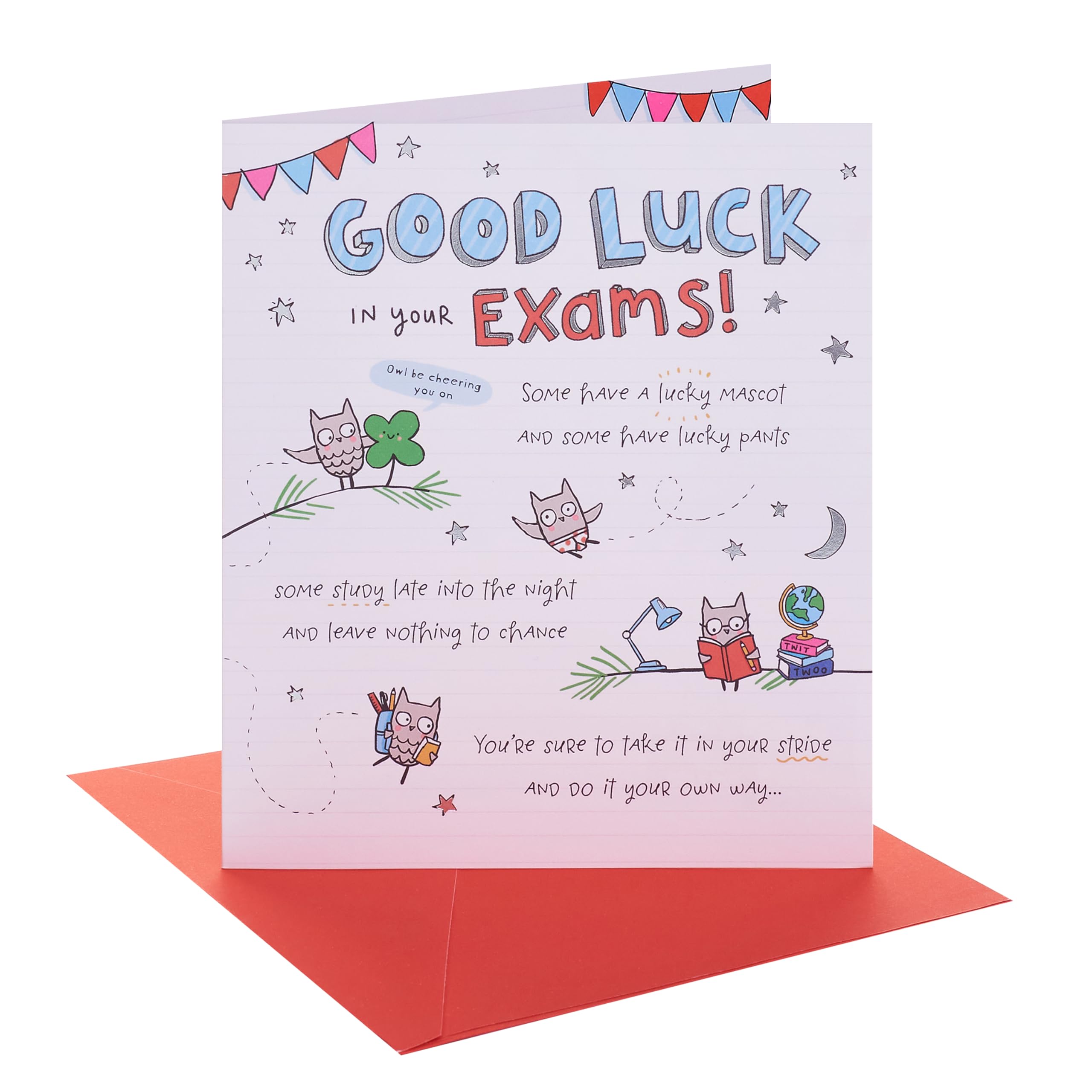 UK Greetings | Good Luck for Exams Card | Greeting Card | Her/Him | Oodles Good Luck Design | With Envelope | 15.9 x 18.4 cm