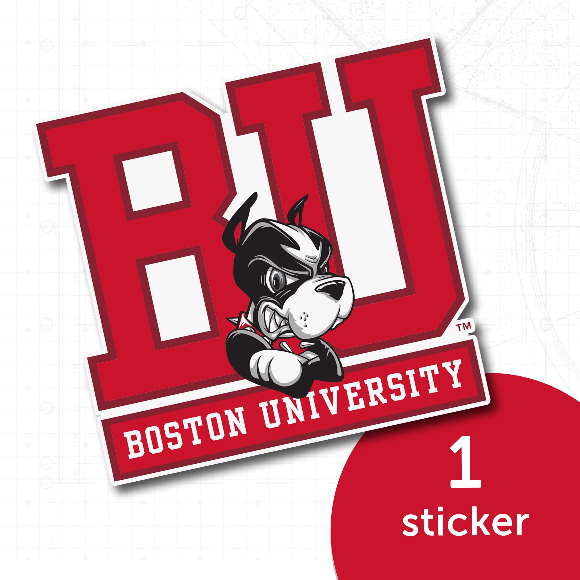 Desert Cactus Boston College Eagles Vinyl Sticker Sheet - Assorted Sizes For Laptop, Car, Bottle - View #9