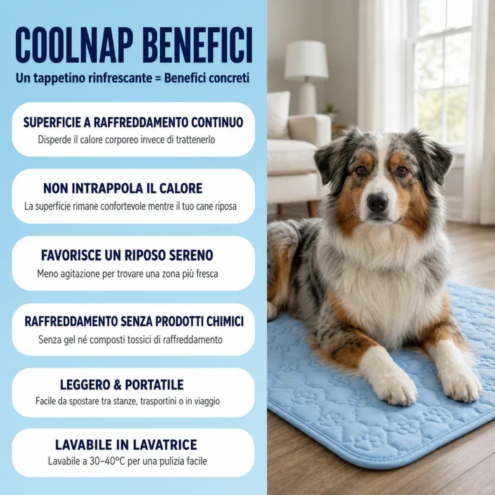 Coolnap tappetino per cani rinfrescante gel auto-raffreddante estivo (Blu, 2XL - 150x100cm)
