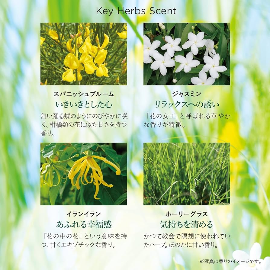 緊急！13日まで！！ロクシタン　エルバガーデンセット 数量限定】エルバガーデン｜ロクシタン公式通販