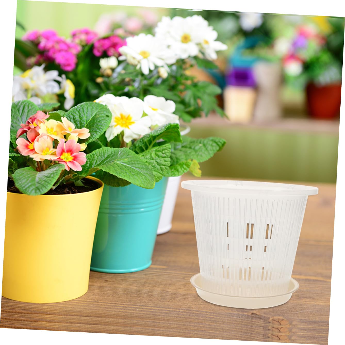 DOITOOL 5ensembles Lot de Pots de Fleurs Plastique pour Pépinière Godets Transparents pour Plantes et Semis avec Drainage et Aération