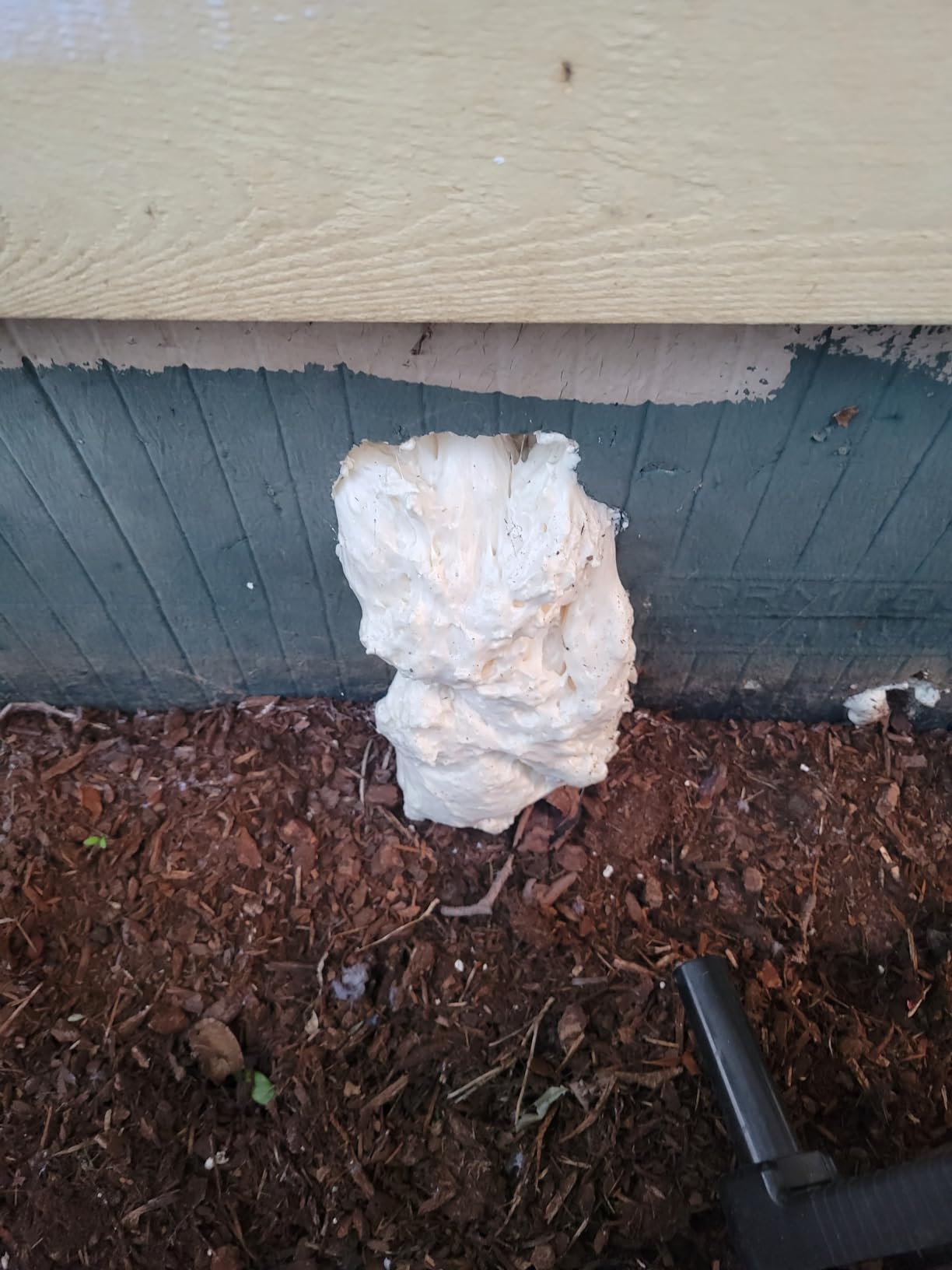 foamposites kicks on fire