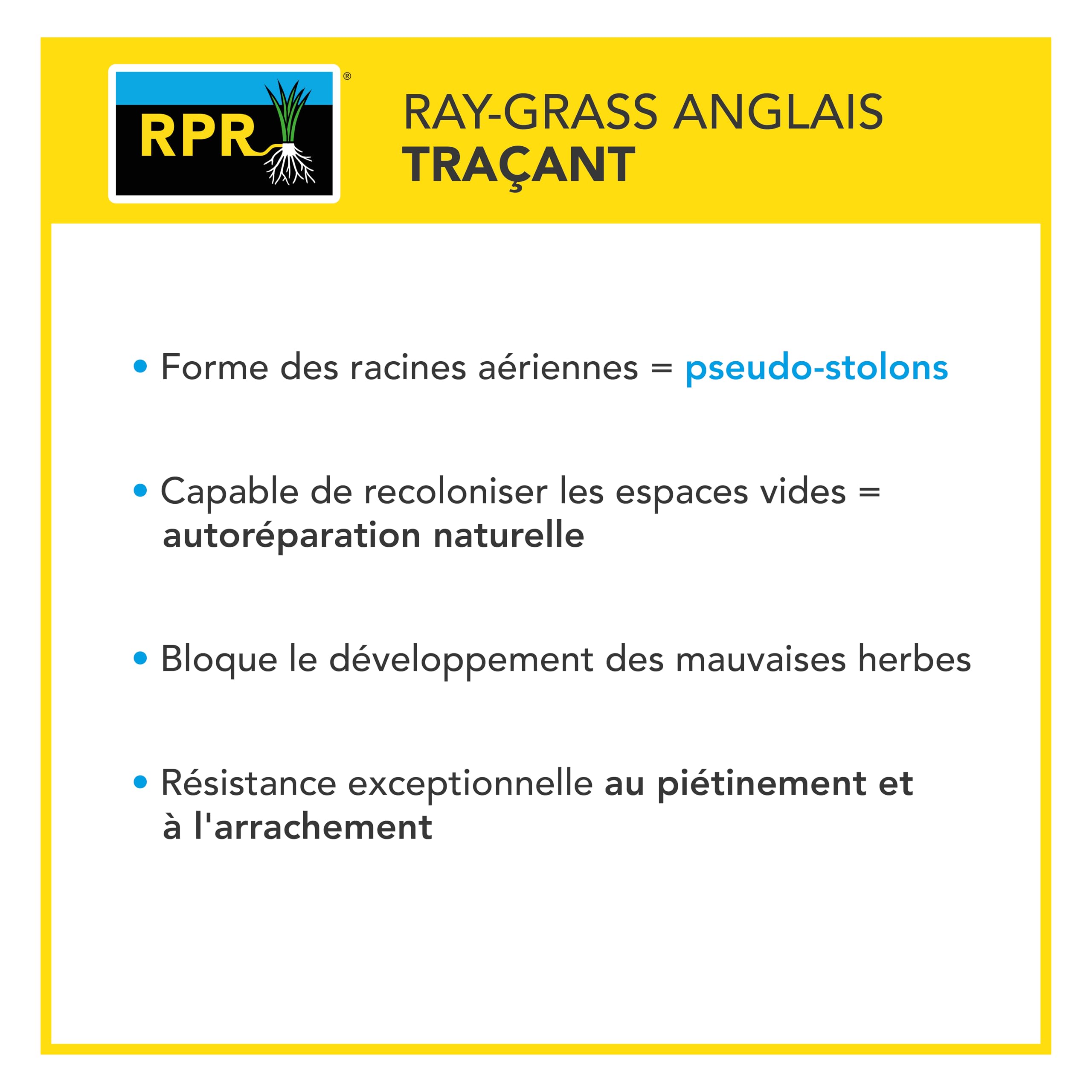 BARENBRUG - Gazon Ligue Pro et Golf - pour Terrains de Compétition - Esthétisme, Performance - Fin, Dense, Solide - Variétés Autorégénérantes Limitant Plantes Indésirables - Fabriqué en France - 3KG