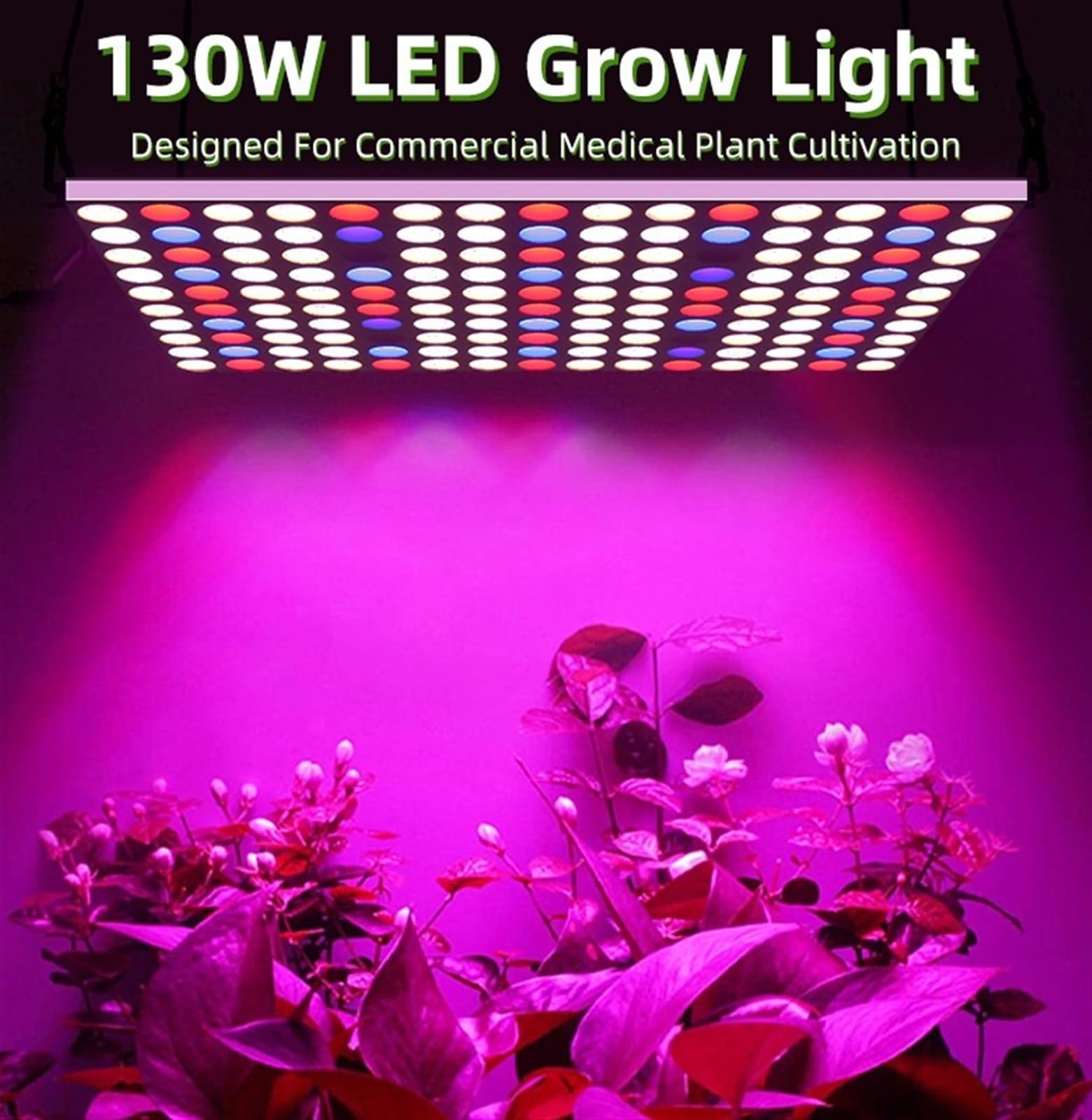 Dimmbares LED-Wachstumslicht, Vollspektrum, 750 W, mit Timer, for Innenzelt, Garten, Hydrokultur, Sämling, Gemüse, Blüte, Pflanze, Aquariumlampe,Energiesparend(200W DC 12V)