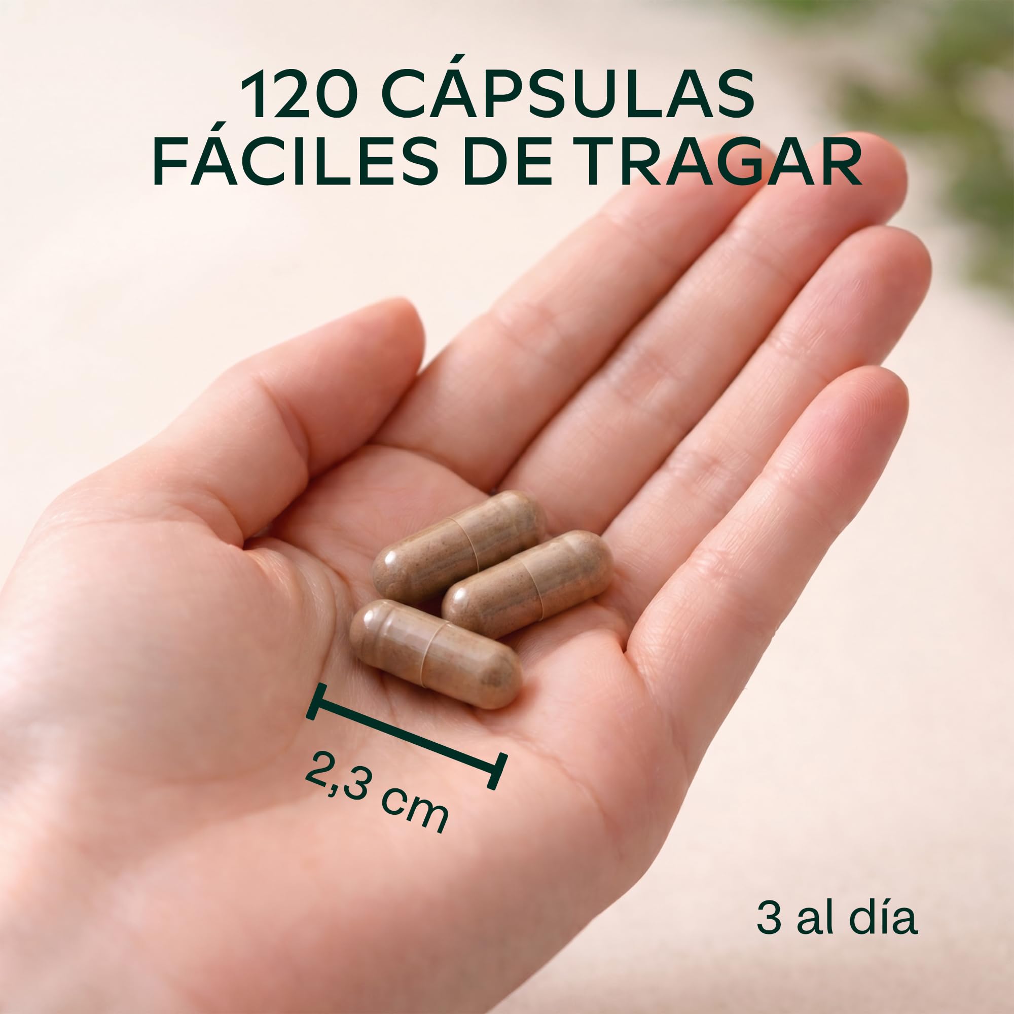 Maca Negra y Amarilla - 57,000 mg - Maca Peruana Andina con Ginseng Panax, L-Arginina, Vitamina B6 y Extracto de Pimienta Negra - 120 Maka Cápsulas - Veganas