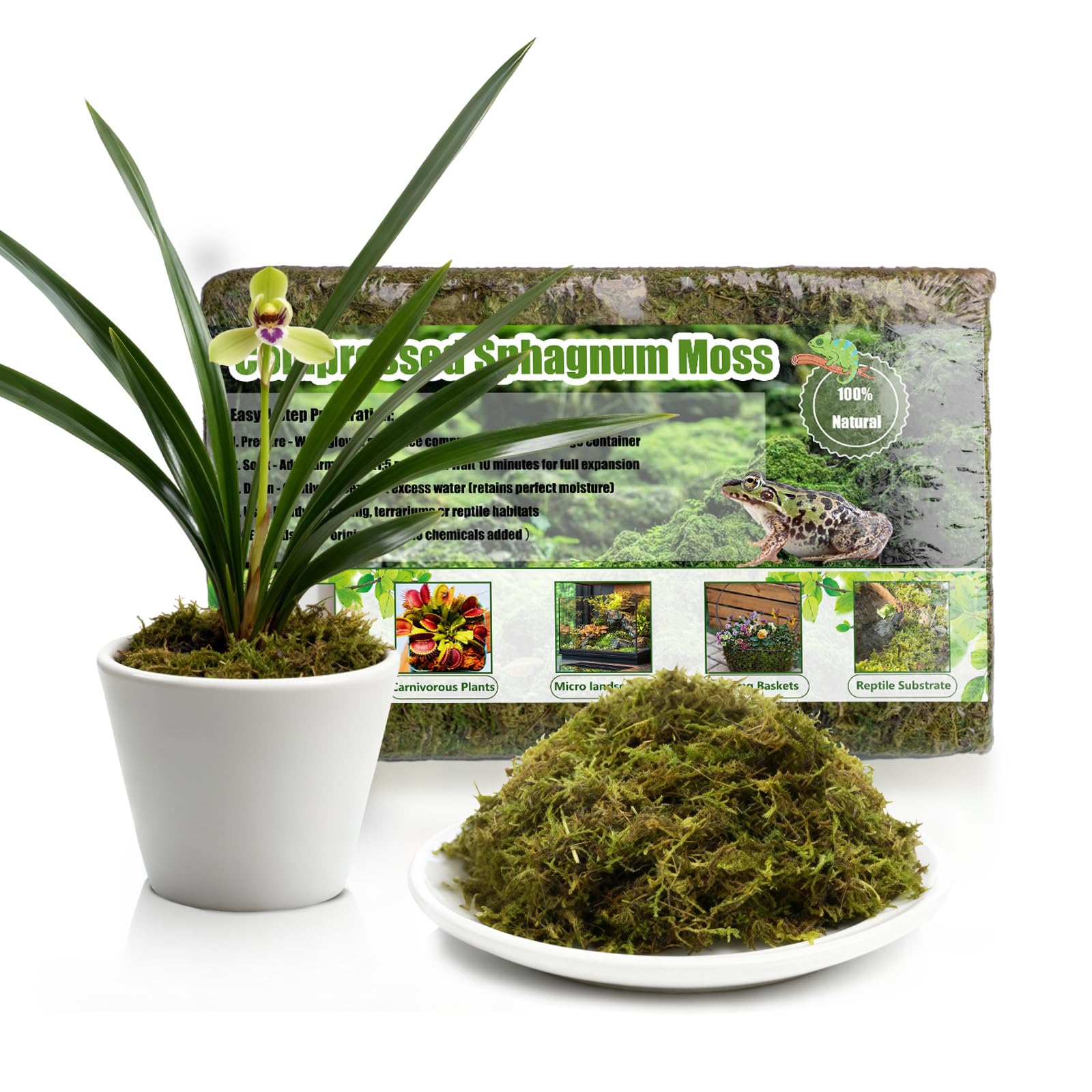 GOTVUGE Premium Sphagnum Moss, 150g Natural Moss for Orchid Potting Mix, Carnivorous Plants & Succulents, Ideal Reptile Bedding, High Water Retention & Breathable (3 pack)