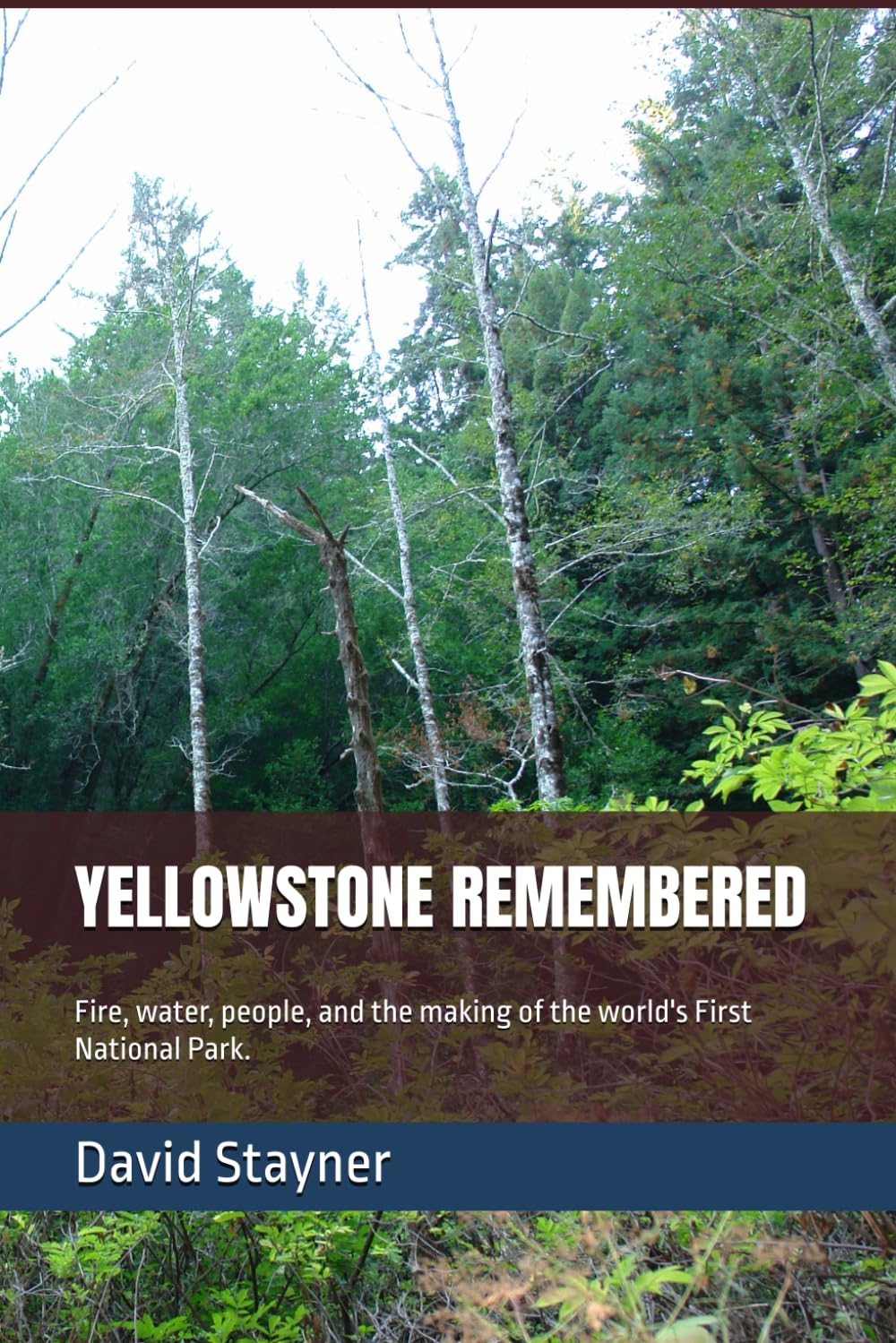 YELLOWSTONE REMEMBERED: Fire, water, people, and the making of the world's First National Park. (National Parks Remembered)